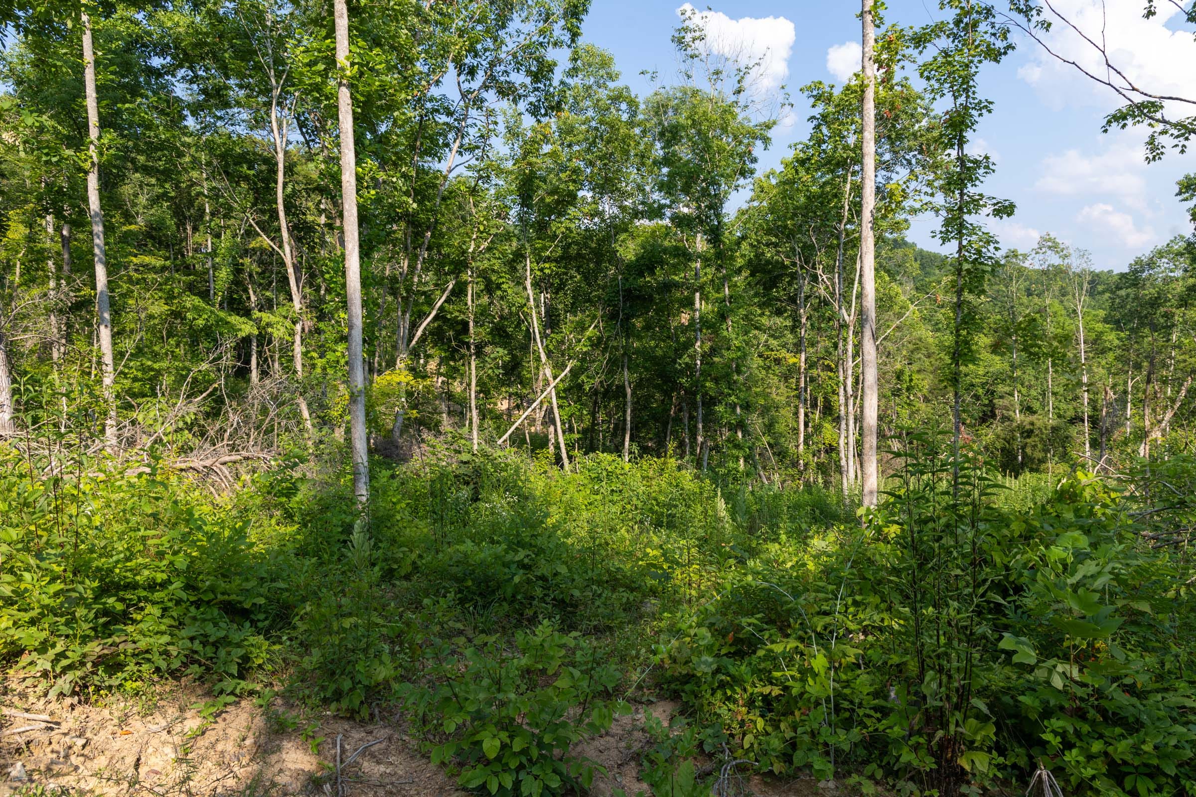 Creek Hollow Phase II Tract 83 photo 15