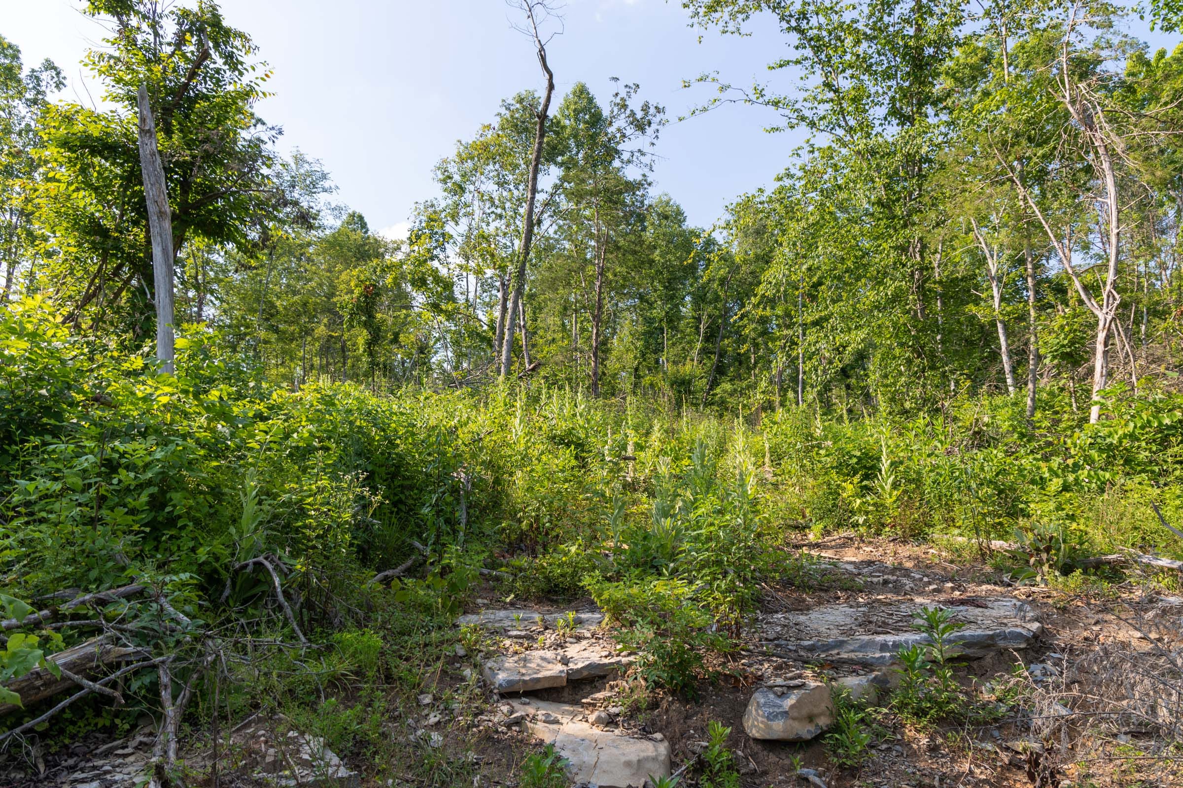 Creek Hollow Phase II Tract 83 photo 1