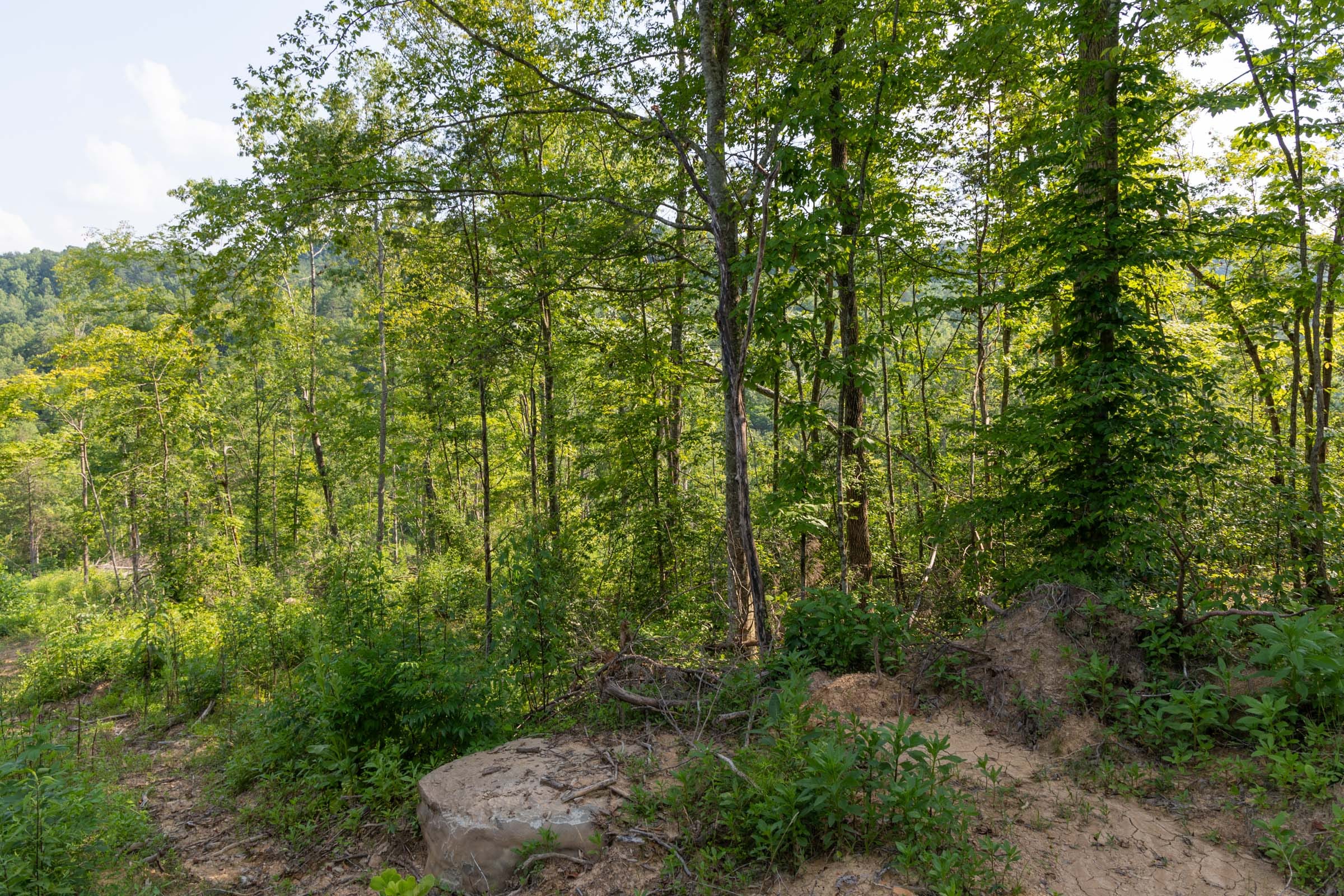 Creek Hollow Phase II Tract 83 photo 13