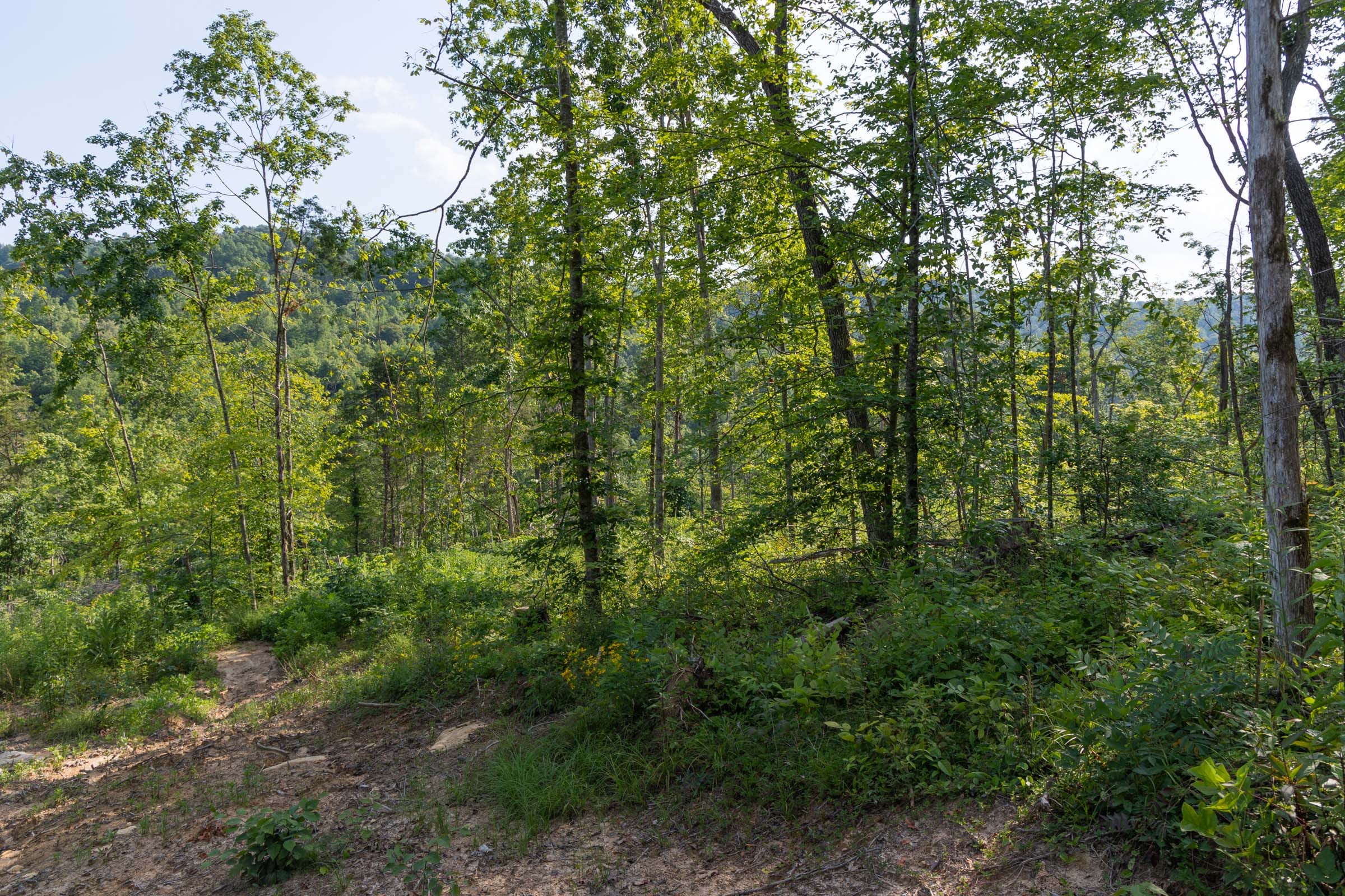 Creek Hollow Phase II Tract 83 photo 12