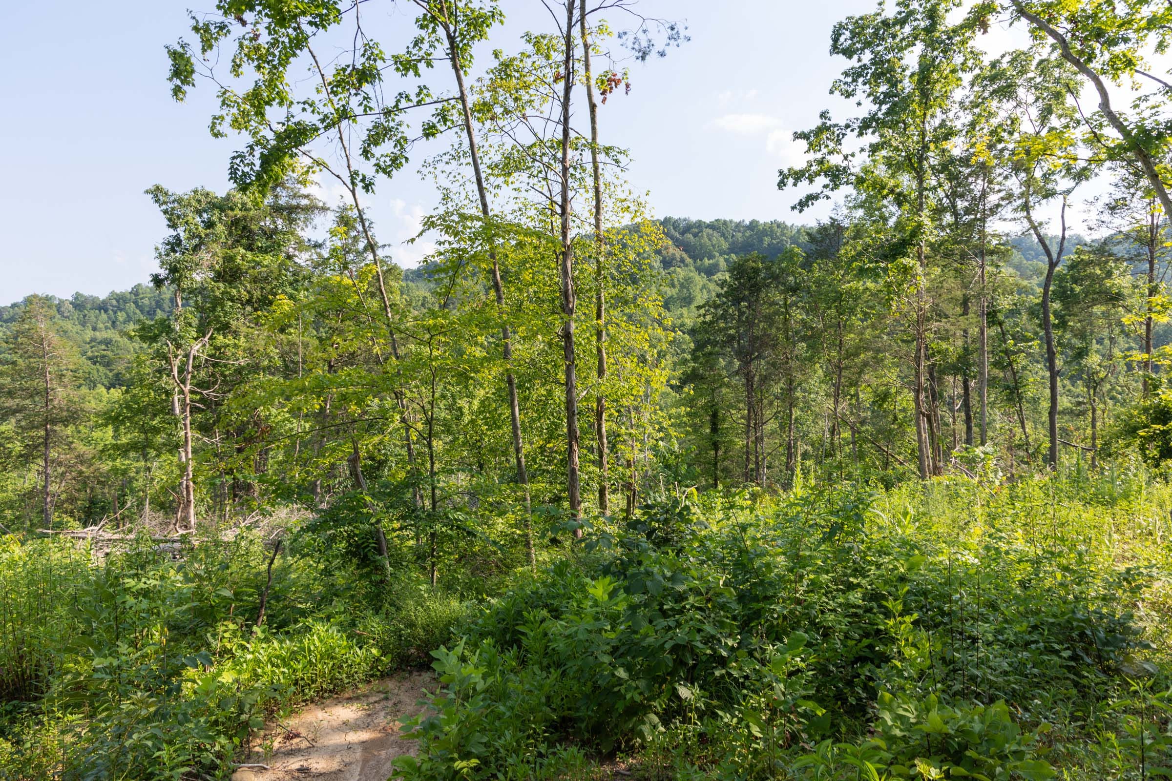 Creek Hollow Phase II Tract 83 photo 11