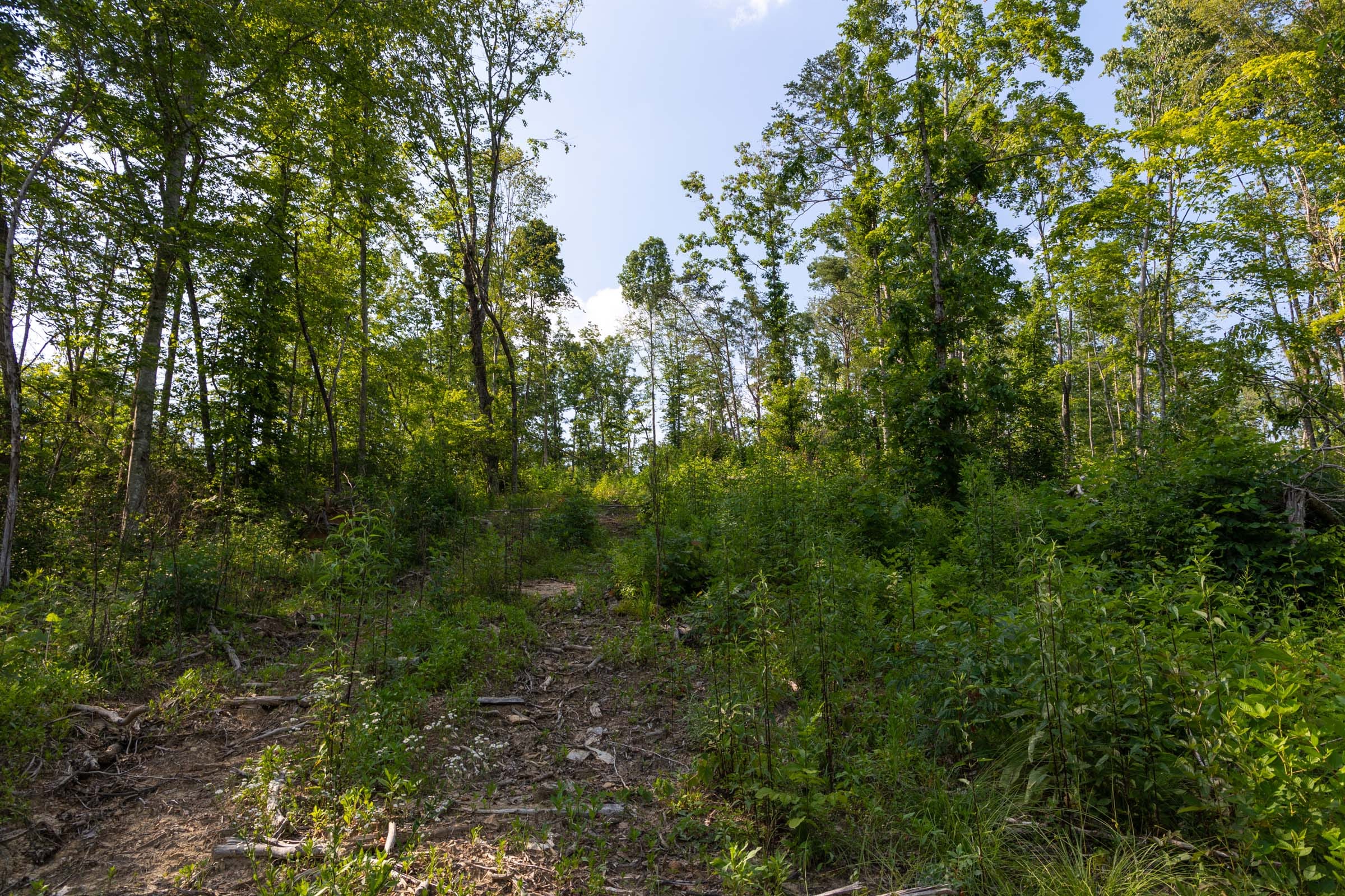 Creek Hollow Phase II Tract 83 photo 10