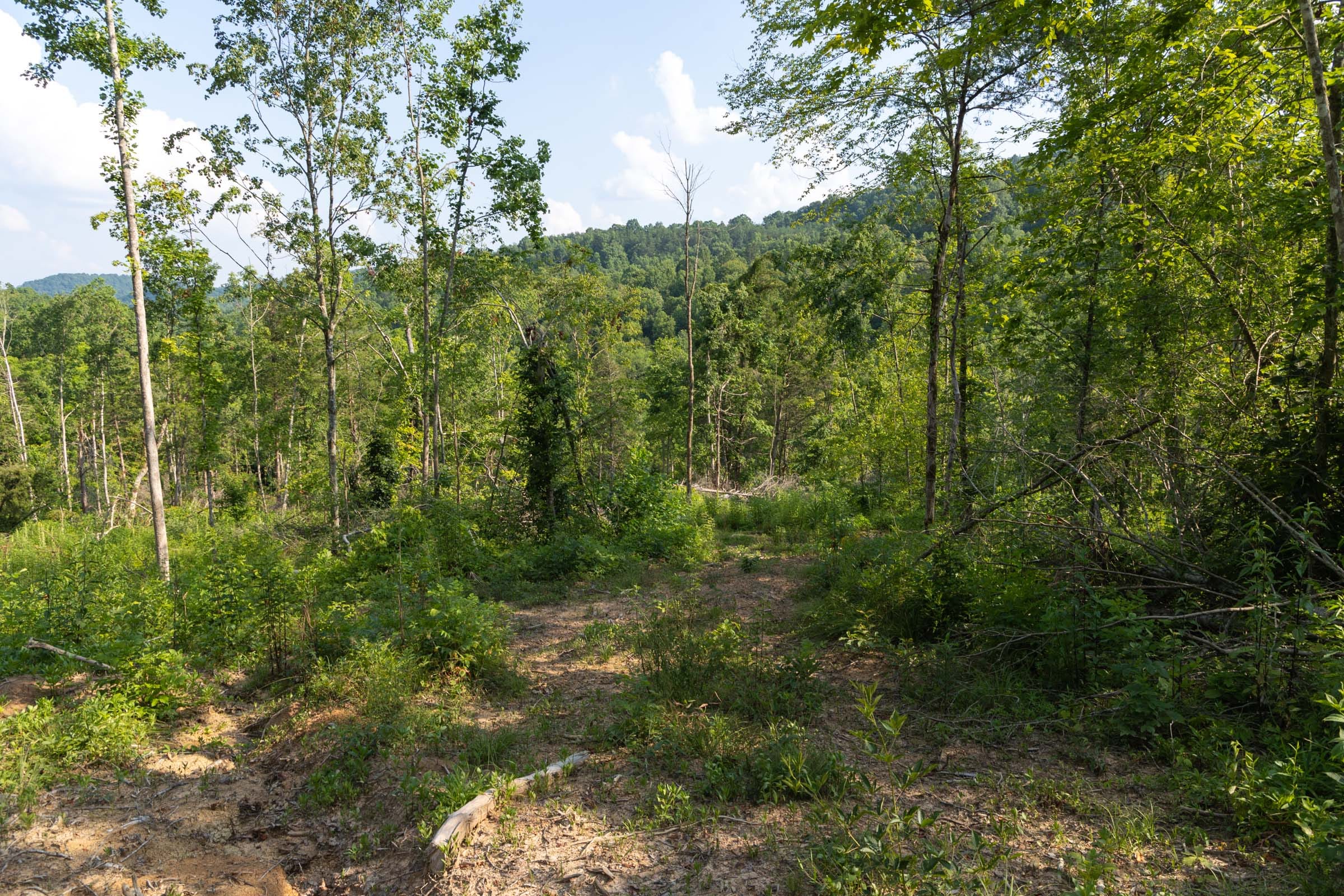 Creek Hollow Phase II Tract 83 photo 9