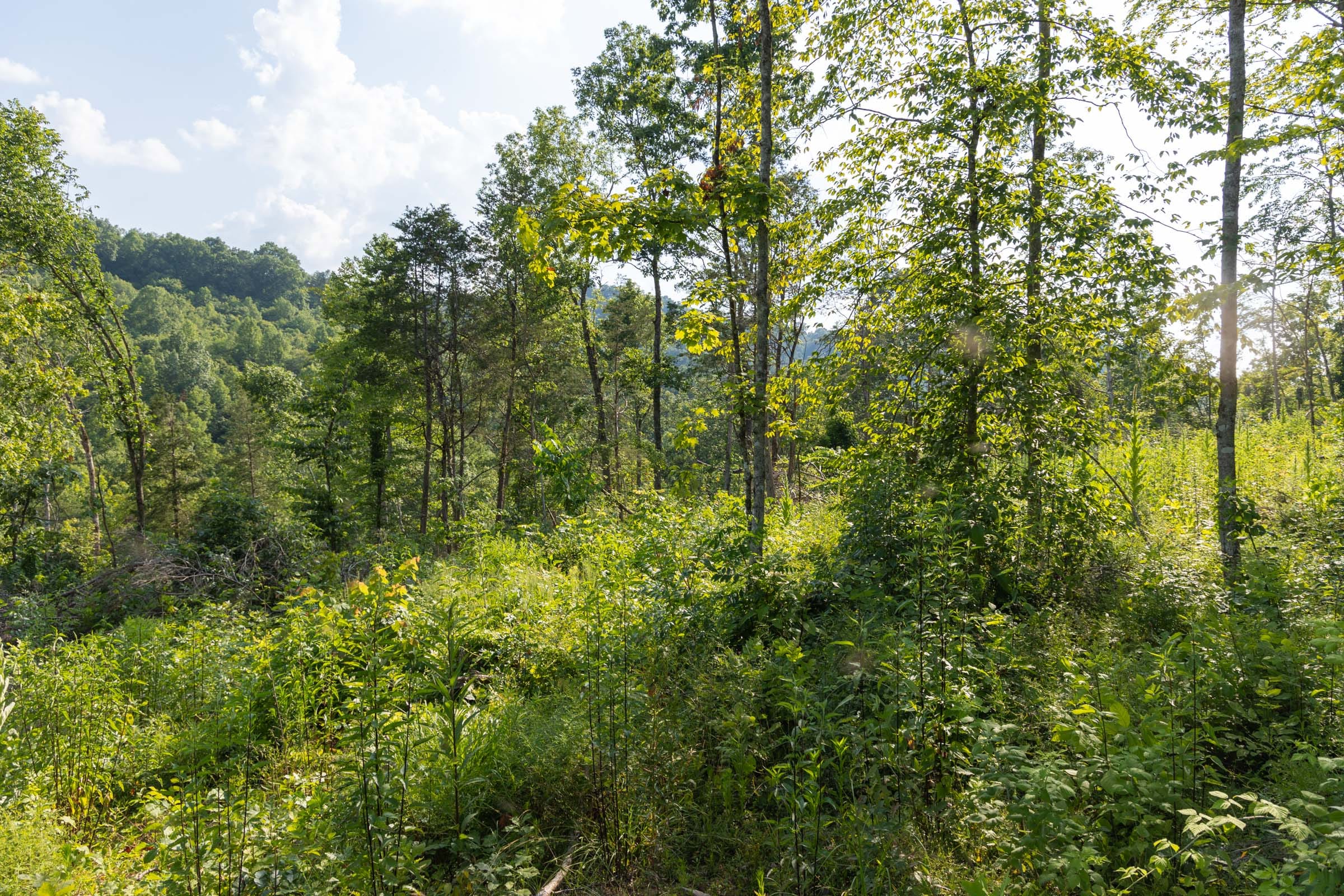 Creek Hollow Phase II Tract 83 photo 8