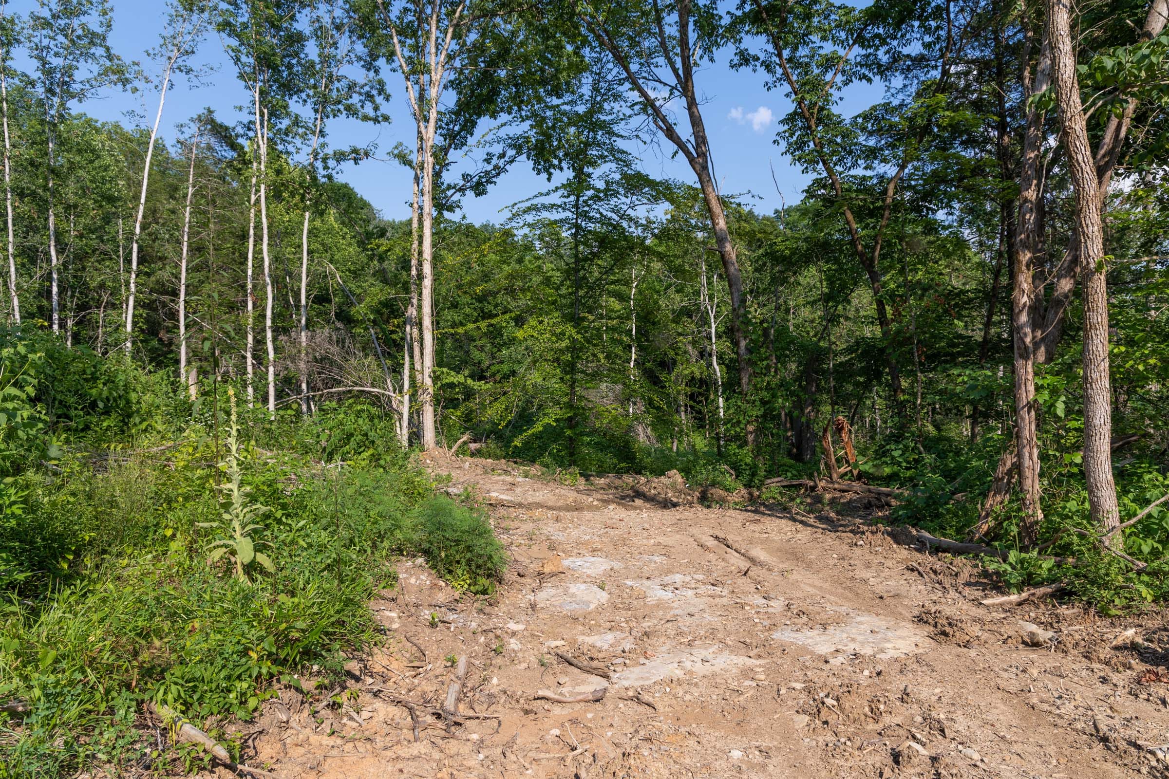Creek Hollow Phase II Tract 83 photo 4