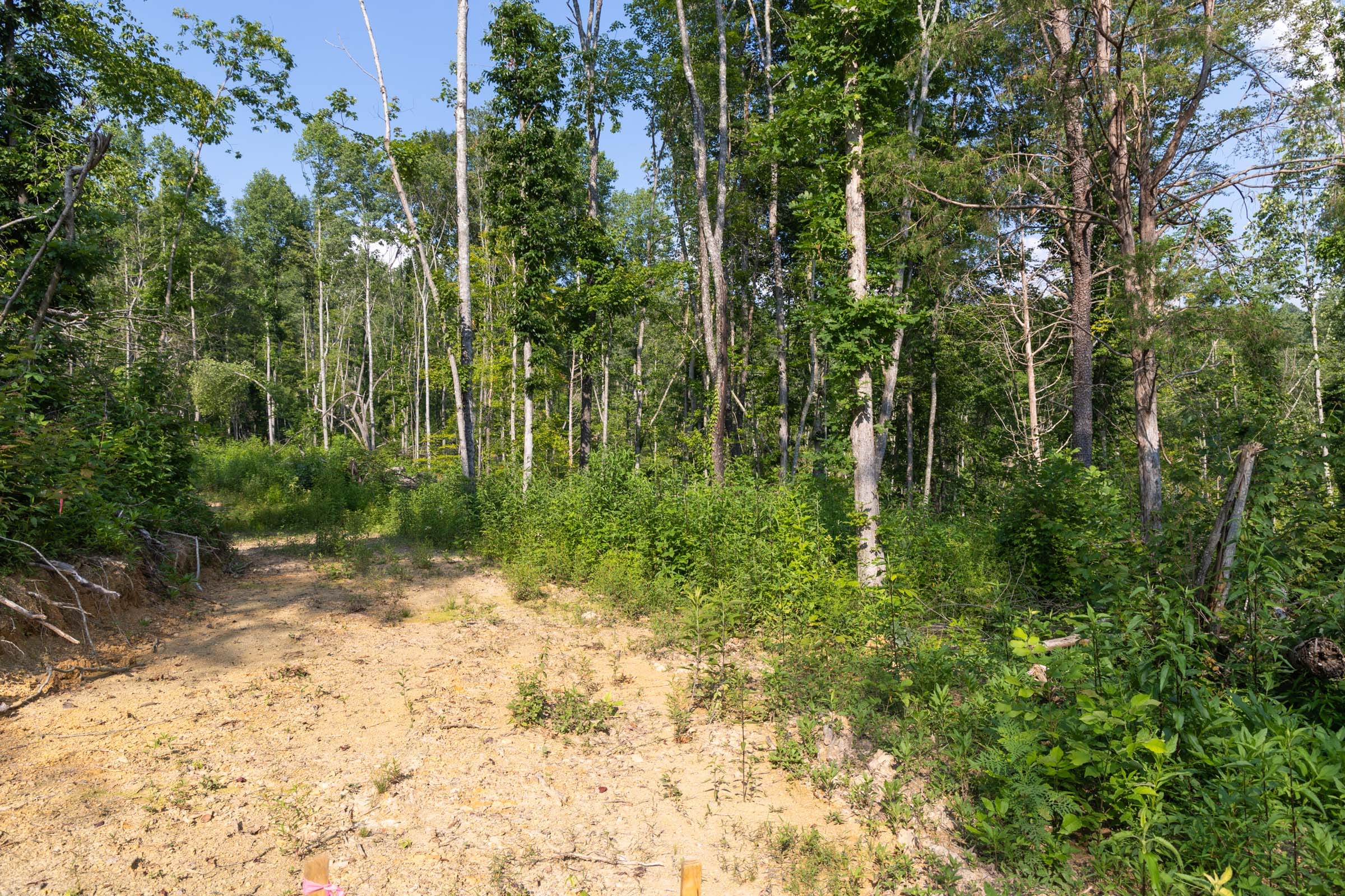 Creek Hollow Phase II Tract 83 photo 5