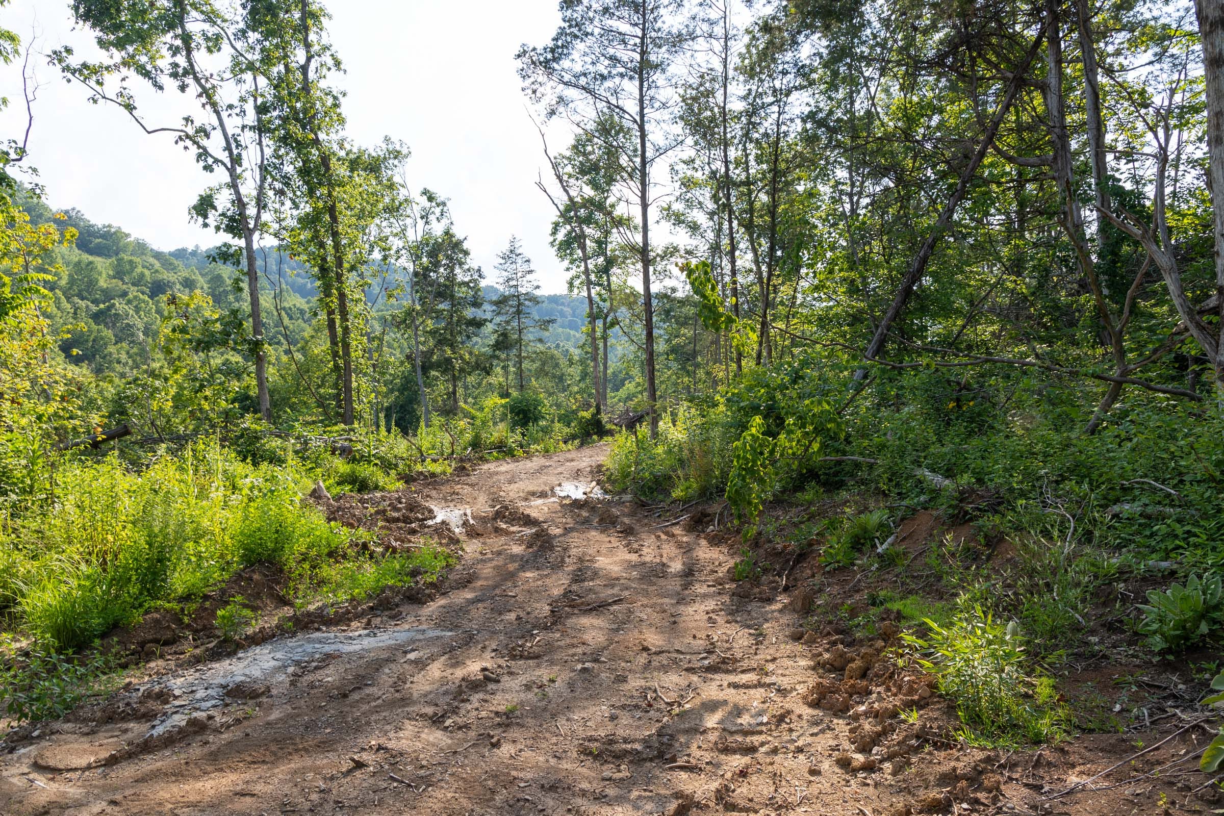 Creek Hollow Phase II Tract 83 photo 2