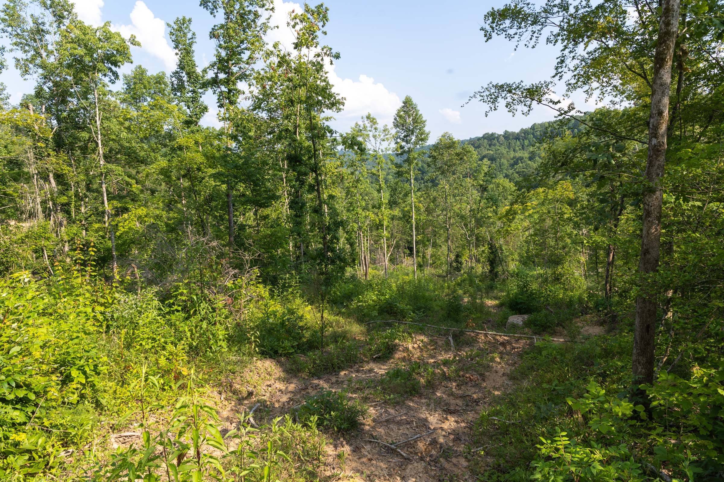 Creek Hollow Phase II Tract 83 photo 3