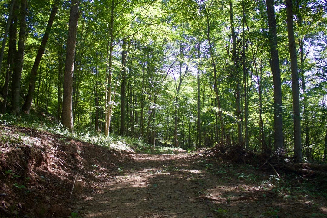 Heritage Hollow Tract 30 photo 2
