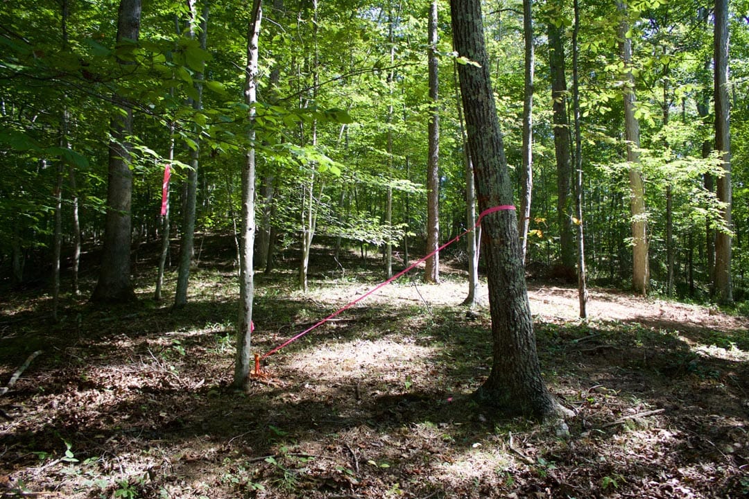 Heritage Hollow Tract 30 photo 3