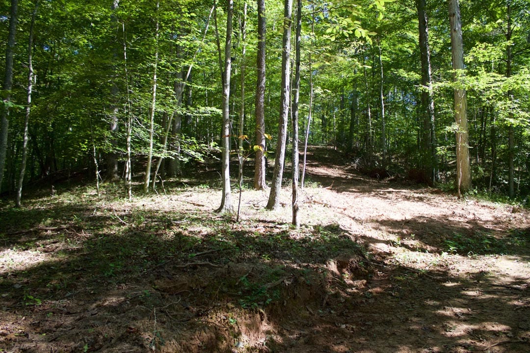 Heritage Hollow Tract 30 photo 4