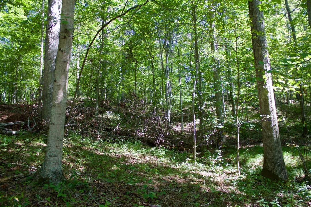Heritage Hollow Tract 30 photo 5