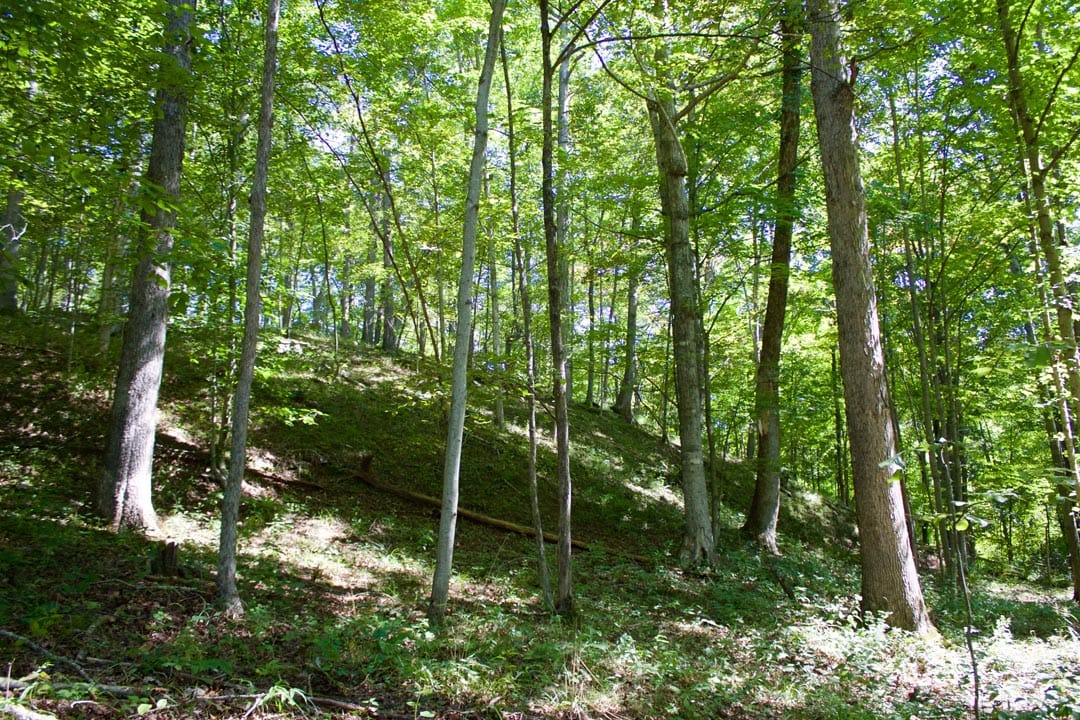 Heritage Hollow Tract 30 photo 6