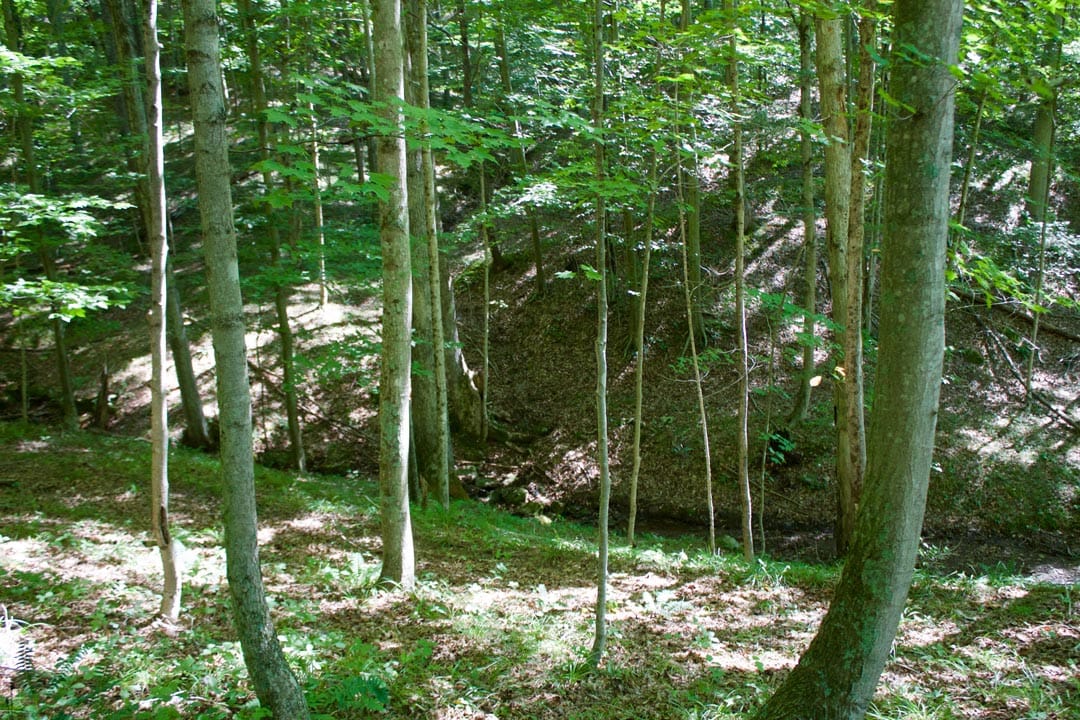 Heritage Hollow Tract 30 photo 9
