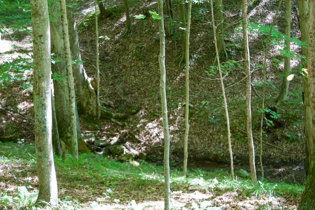 Heritage Hollow Tract 30 photo 10