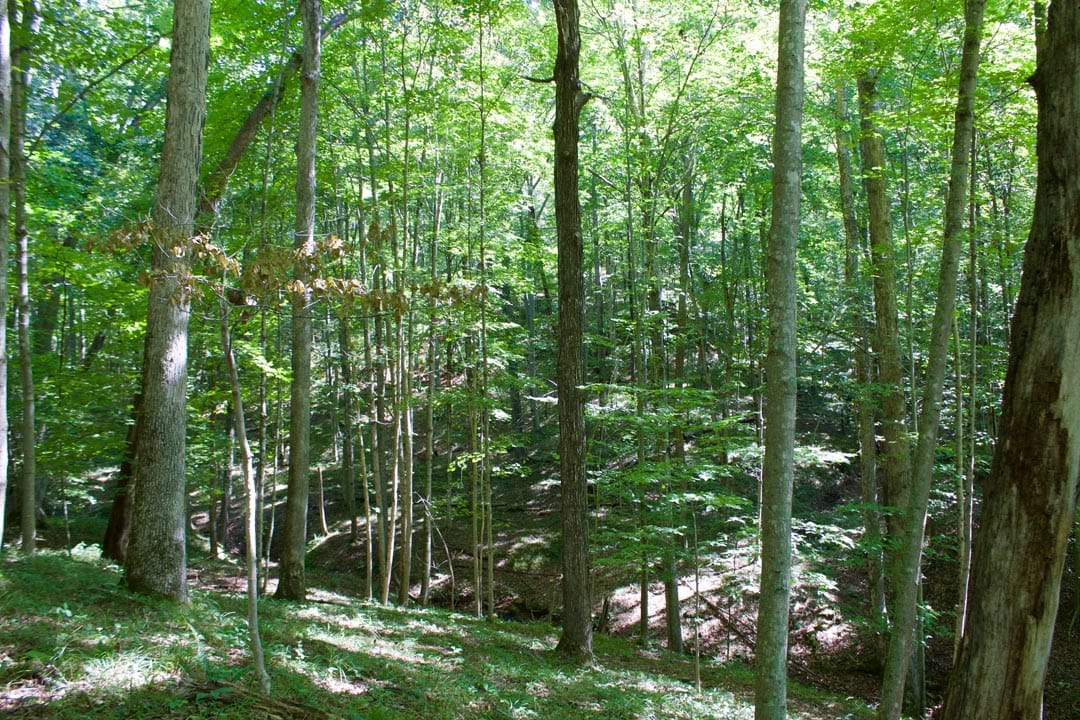 Heritage Hollow Tract 30 photo 14