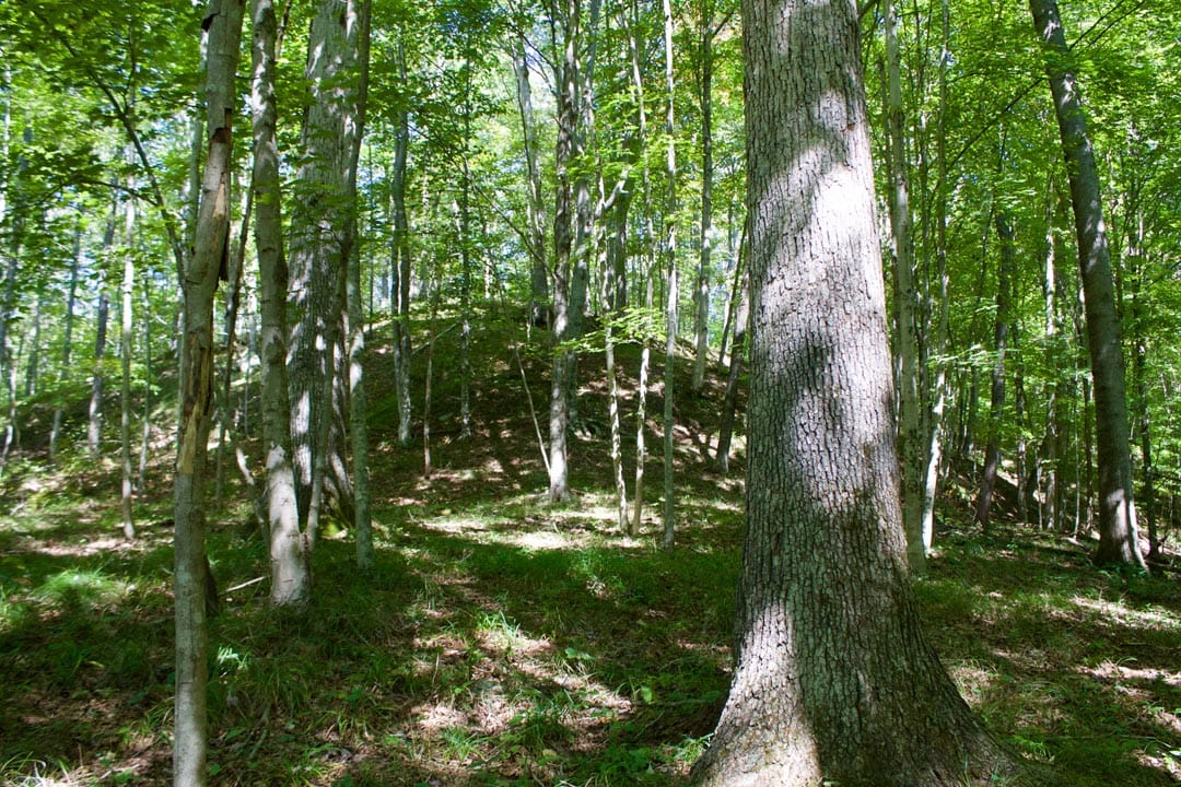 Heritage Hollow Tract 30 photo 15