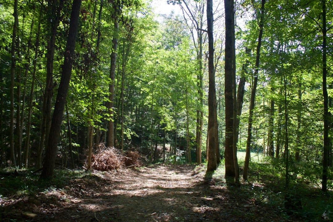Heritage Hollow Tract 30 photo 16