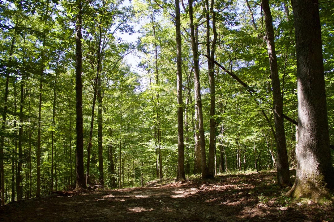 Heritage Hollow Tract 30 photo 23