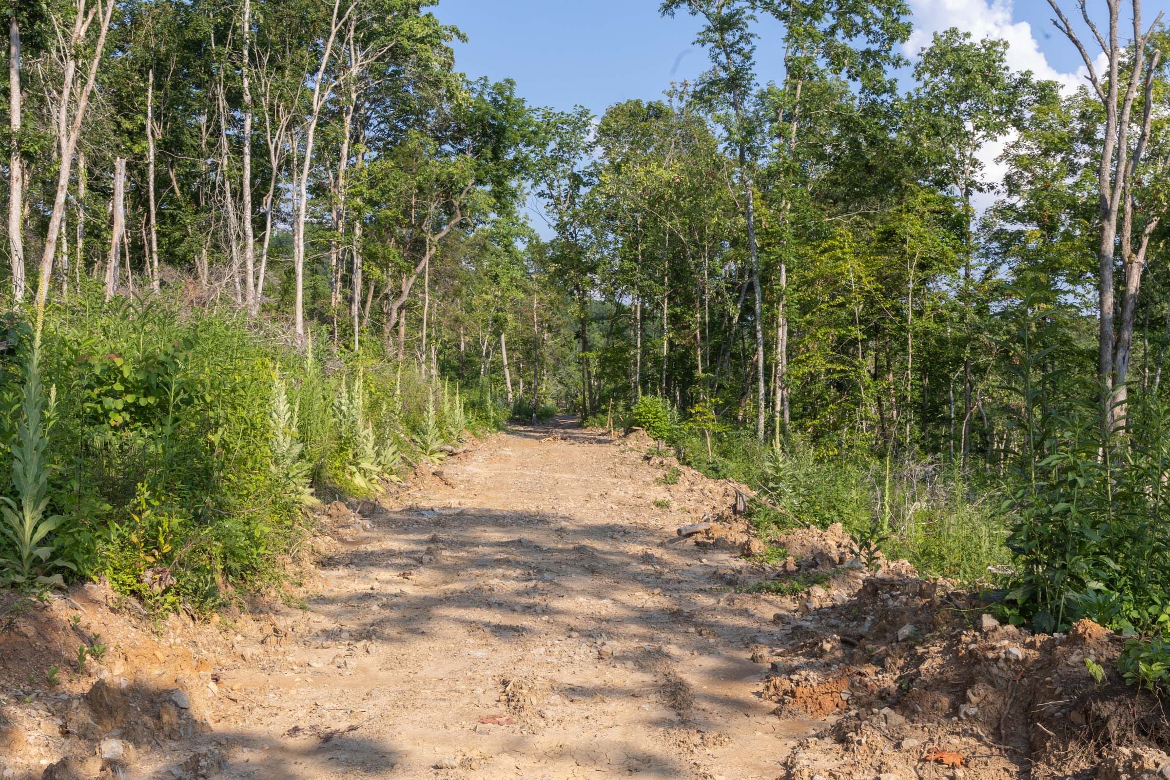 Creek Hollow Phase II Tract 86 photo 1