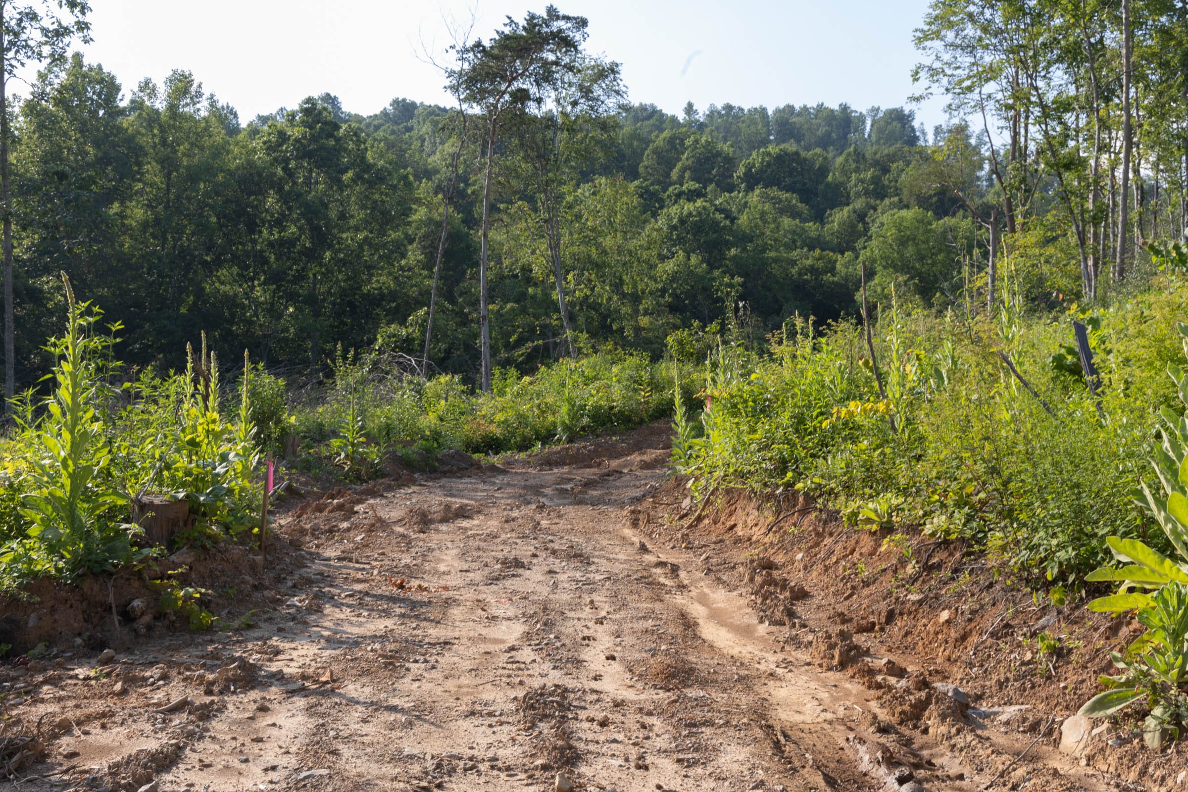 Creek Hollow Phase II Tract 86 photo 2