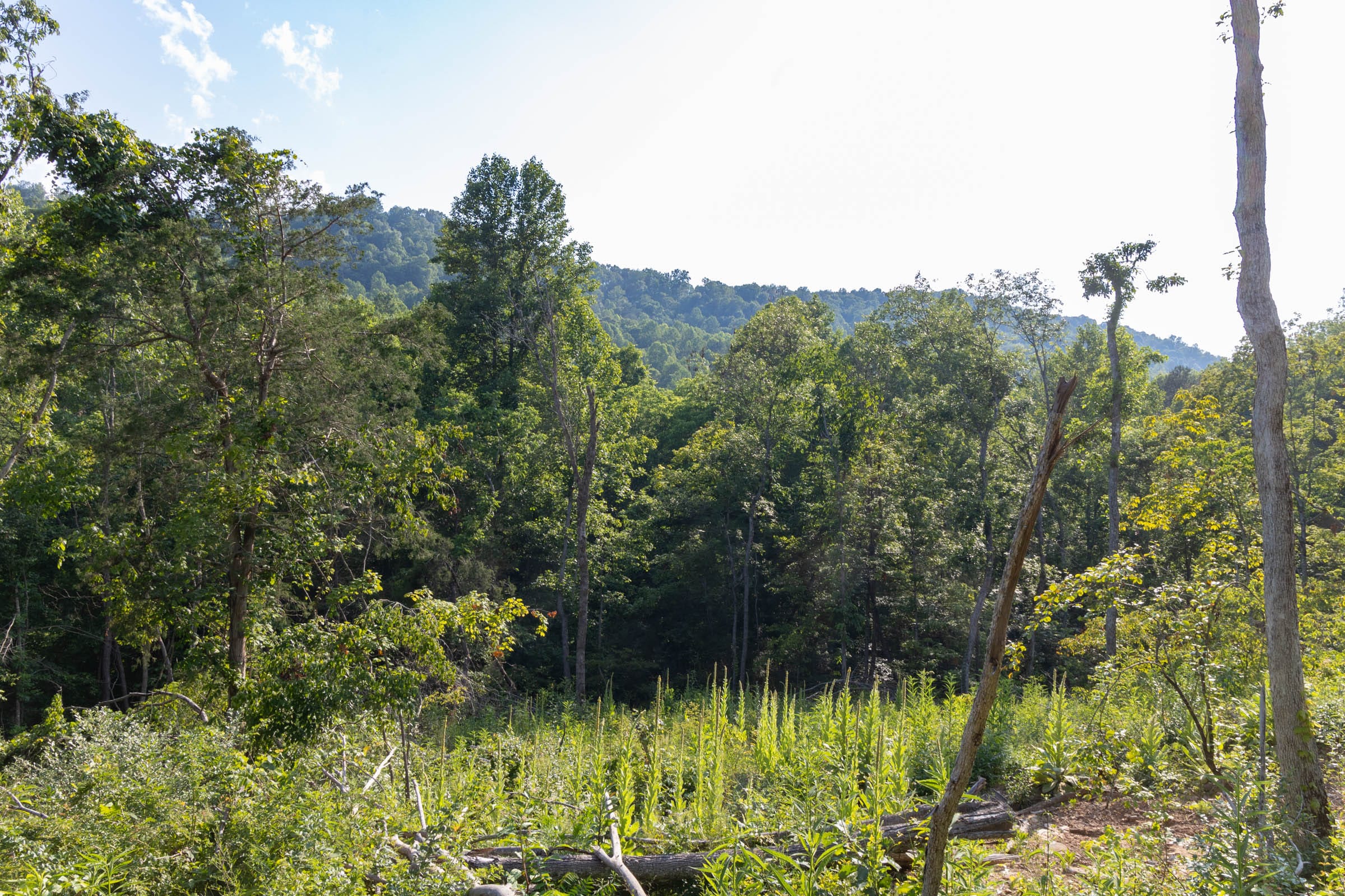 Creek Hollow Phase II Tract 86 photo 10