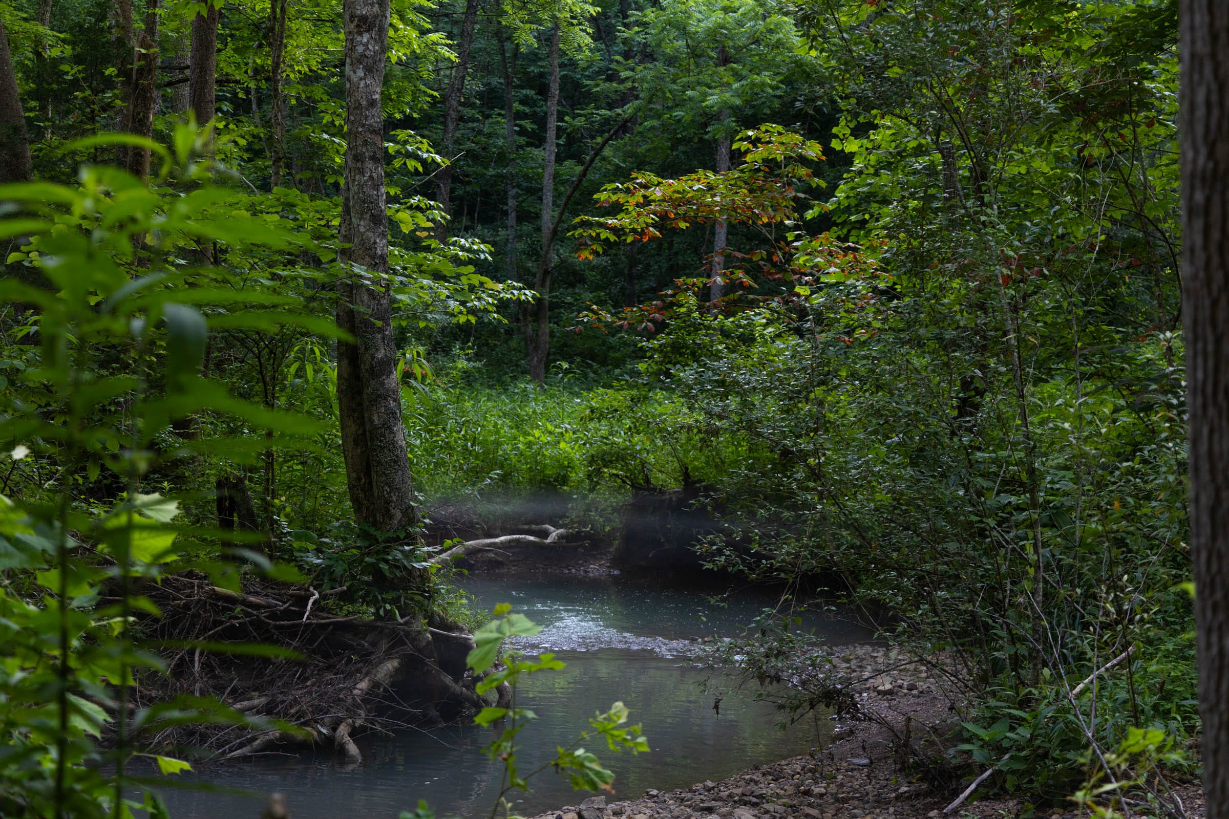 Creek Hollow Phase II Tract 86 photo 3