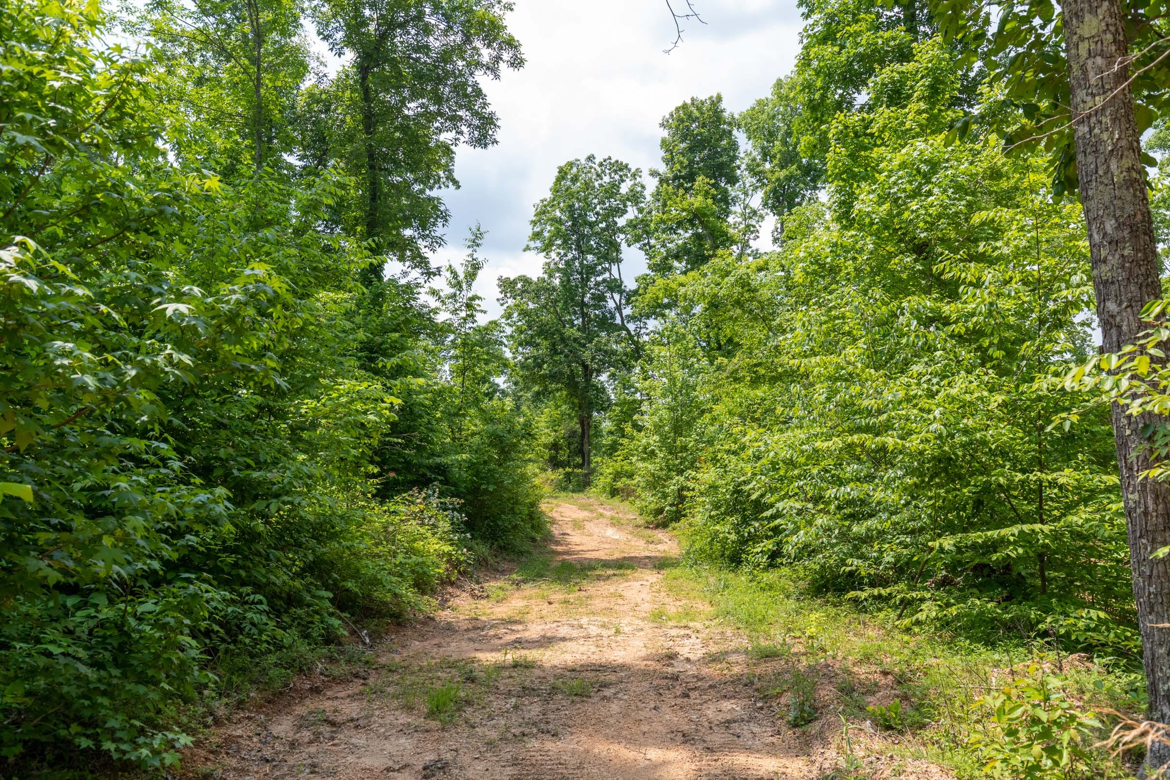 Cedar Creek Tract 14 photo 1