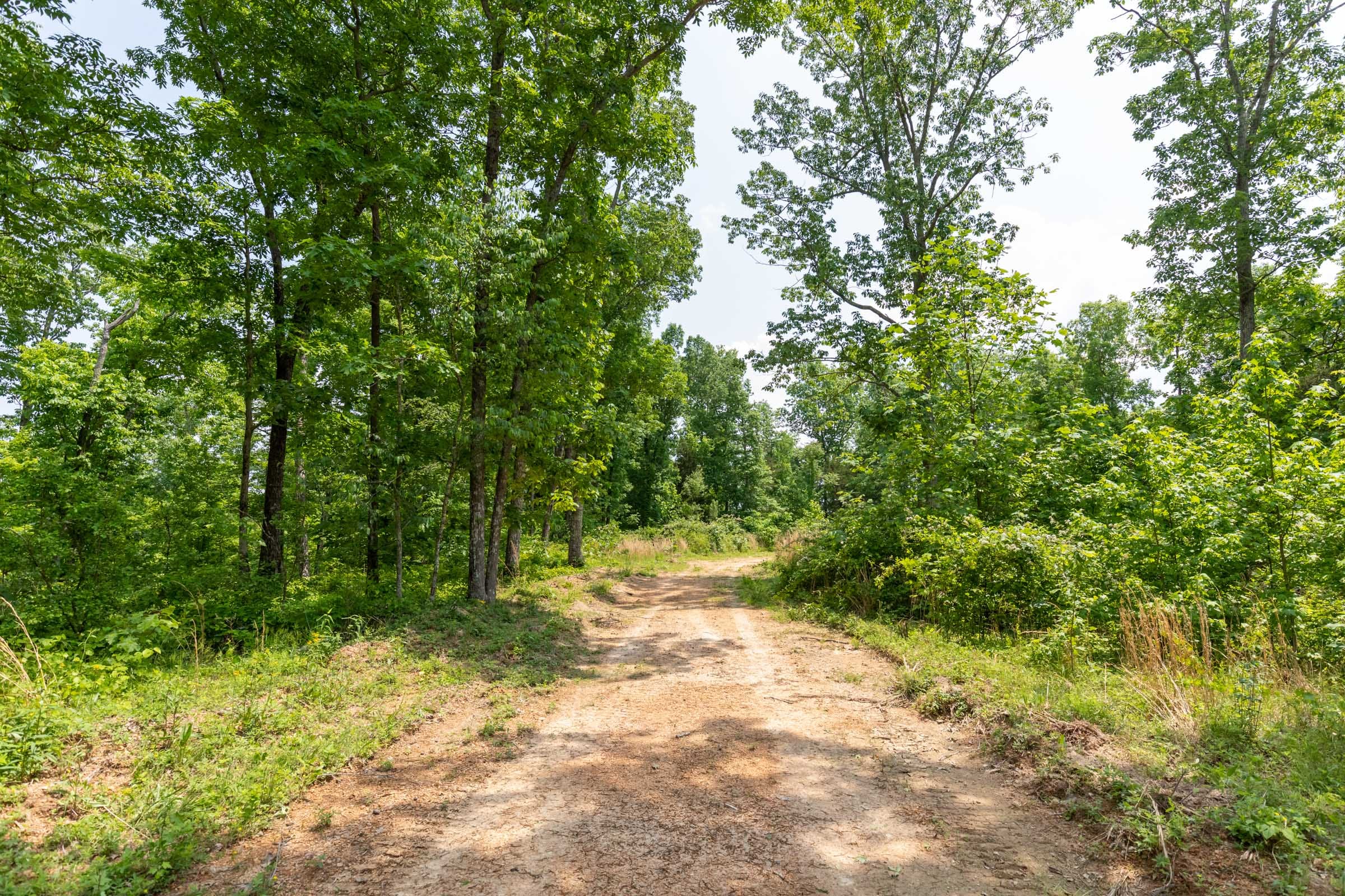 Cedar Creek Tract 14 photo 5