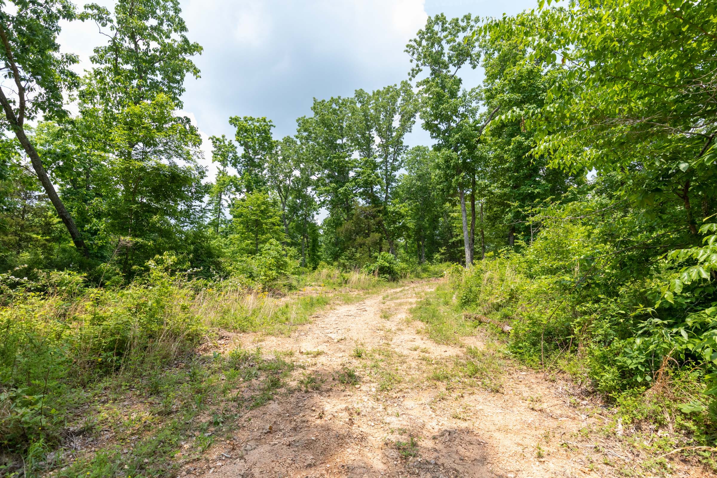 Cedar Creek Tract 14 photo 9