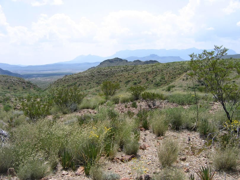 Terlingua Ranch Tract 3069 photo 4