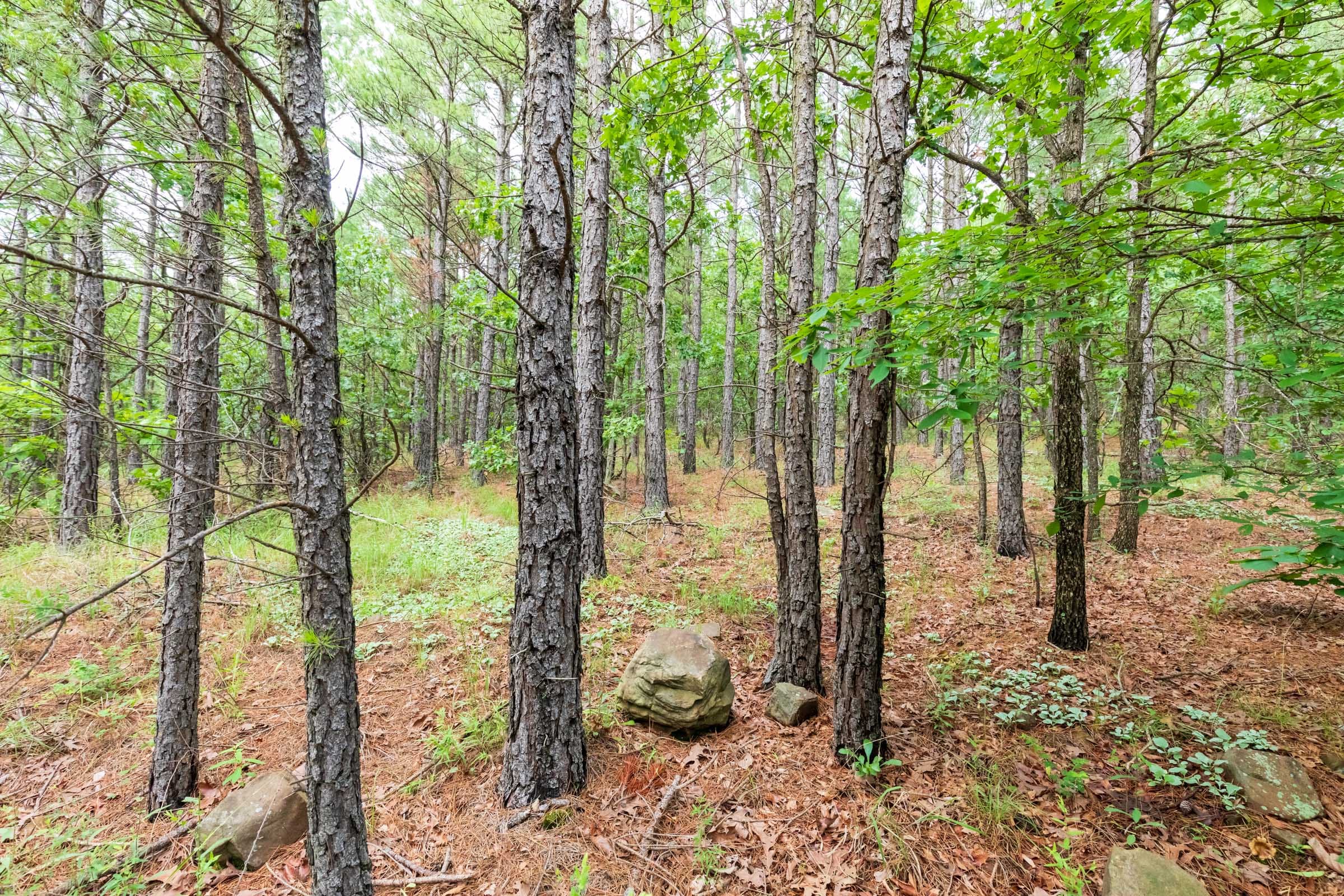 Stone Bridge Phase VI Tract 437 photo 2