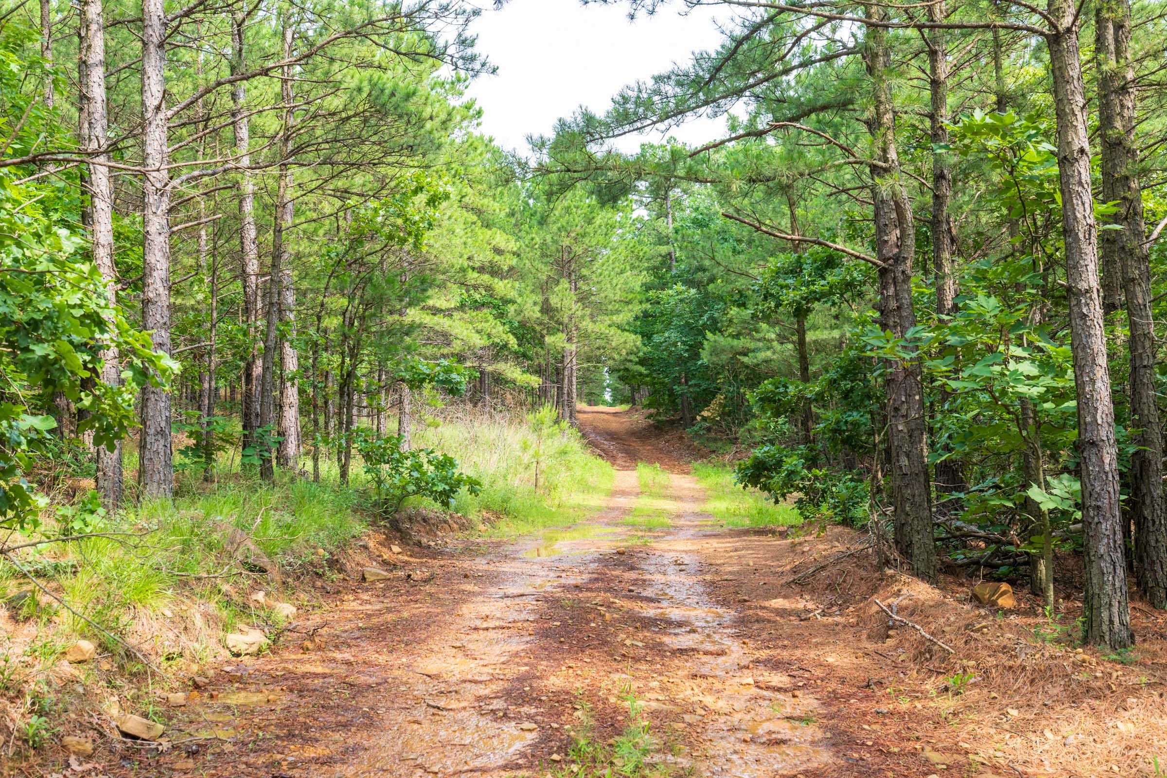 Stone Bridge Phase VI Tract 437 photo 1