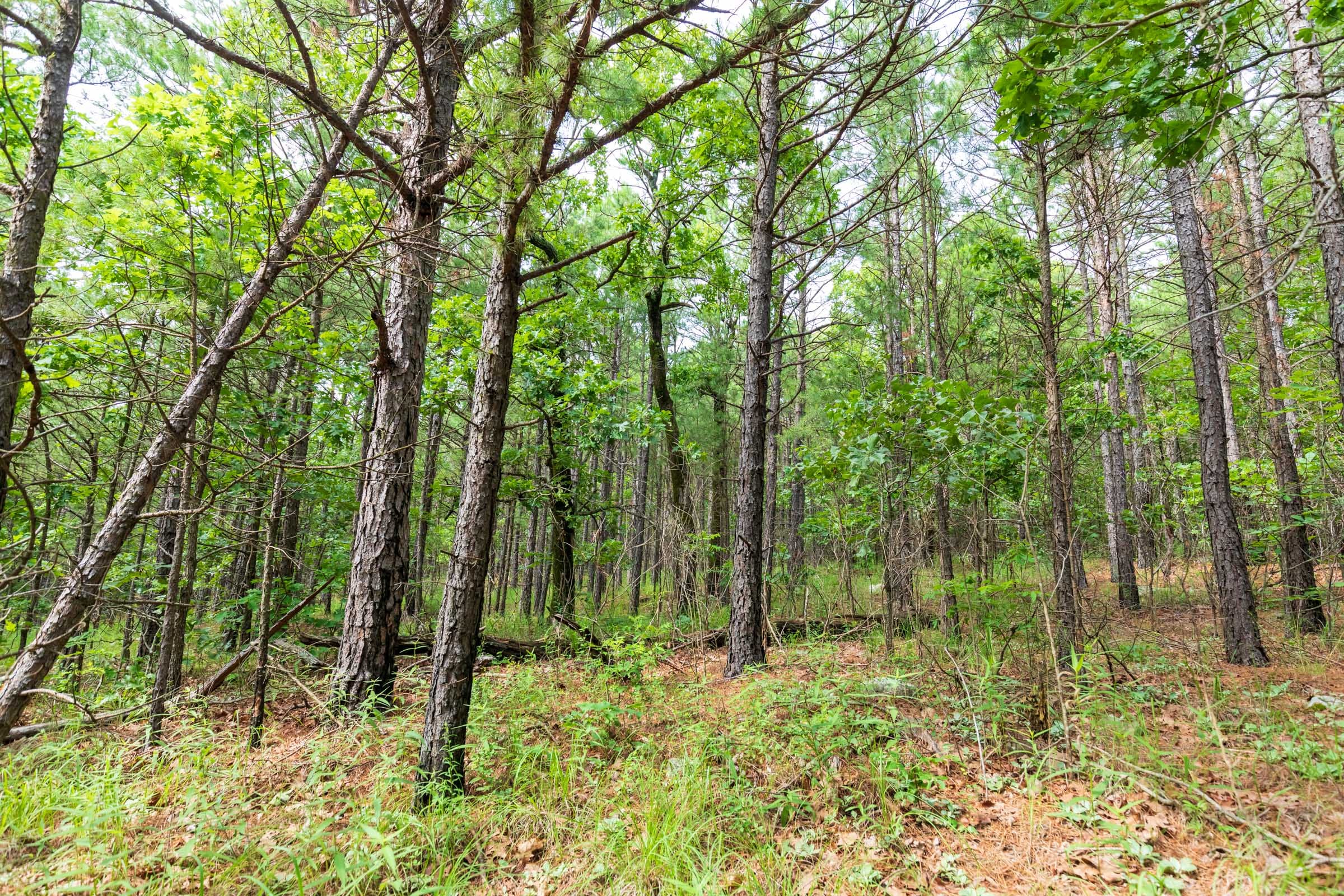 Stone Bridge Phase VI Tract 437 photo 6