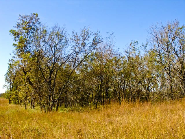 Saddlebrook Ranch Tract 17 photo 2