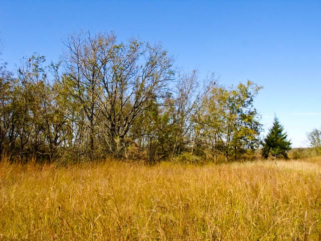 Saddlebrook Ranch Tract 17 photo 3