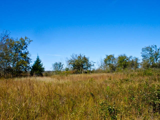 Saddlebrook Ranch Tract 17 photo 4