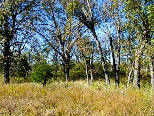 Saddlebrook Ranch Tract 17 photo 7