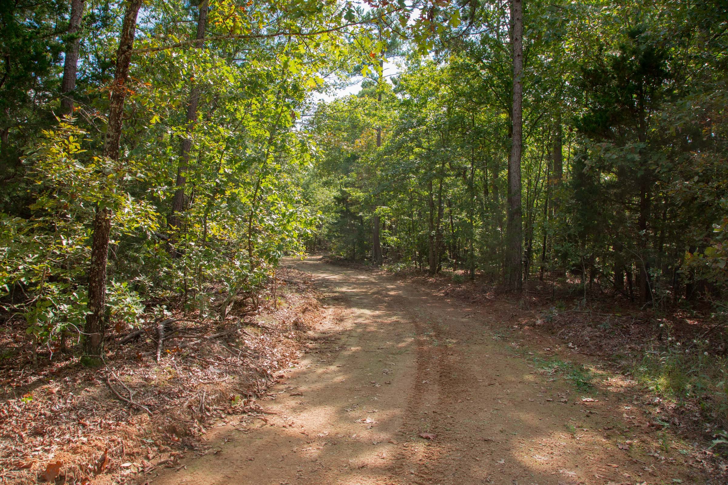 Wagon Wheel Ranch Tract 14 photo 5