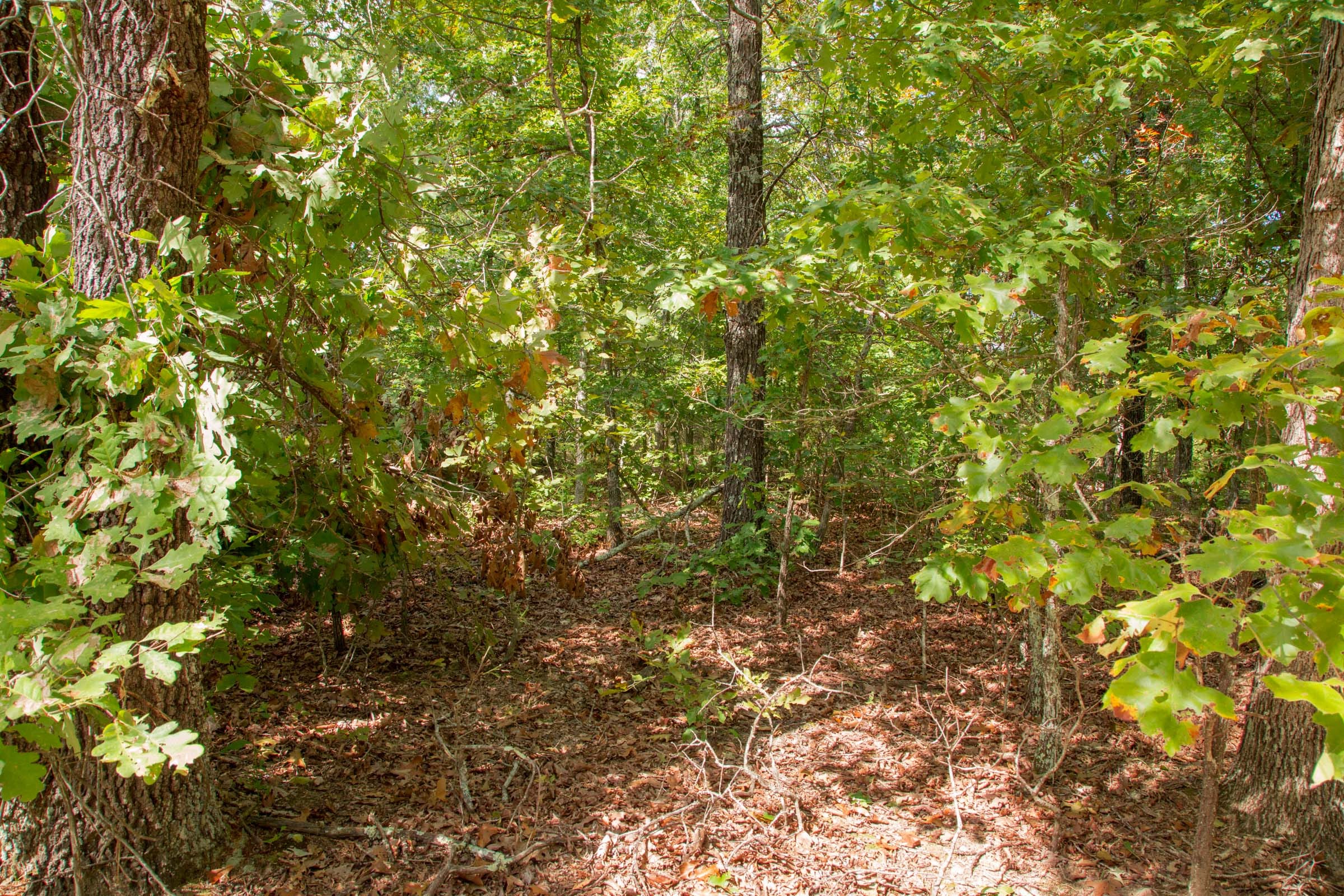 Wagon Wheel Ranch Tract 14 photo 6