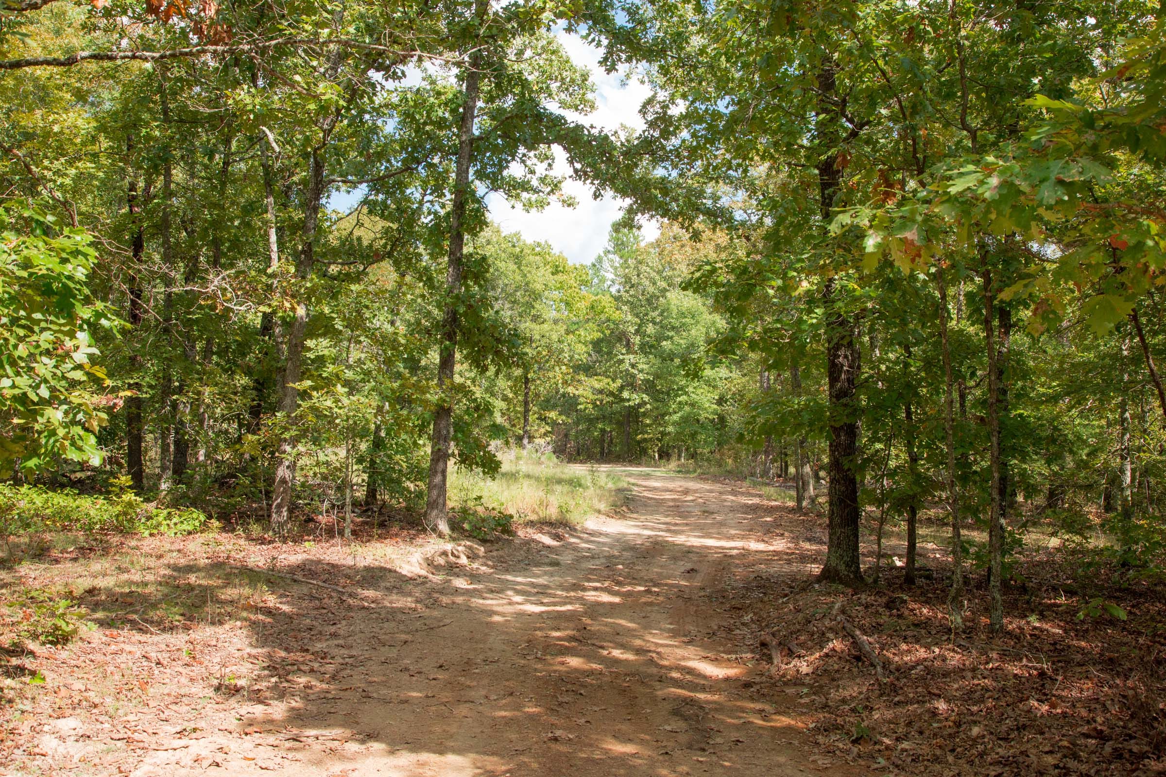 Wagon Wheel Ranch Tract 14 photo 7