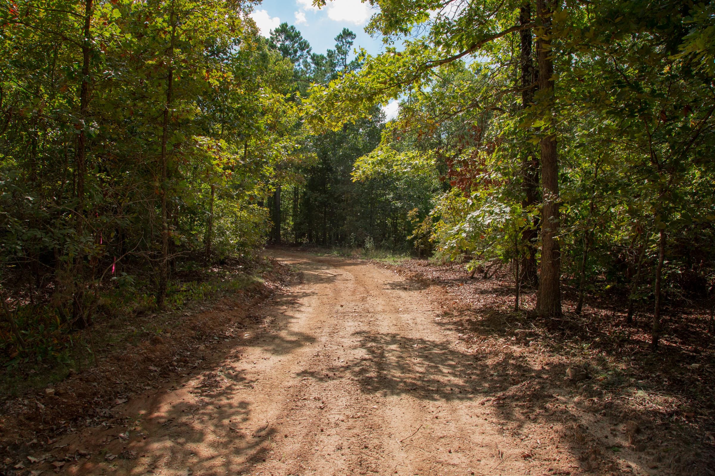 Wagon Wheel Ranch Tract 14 photo 9