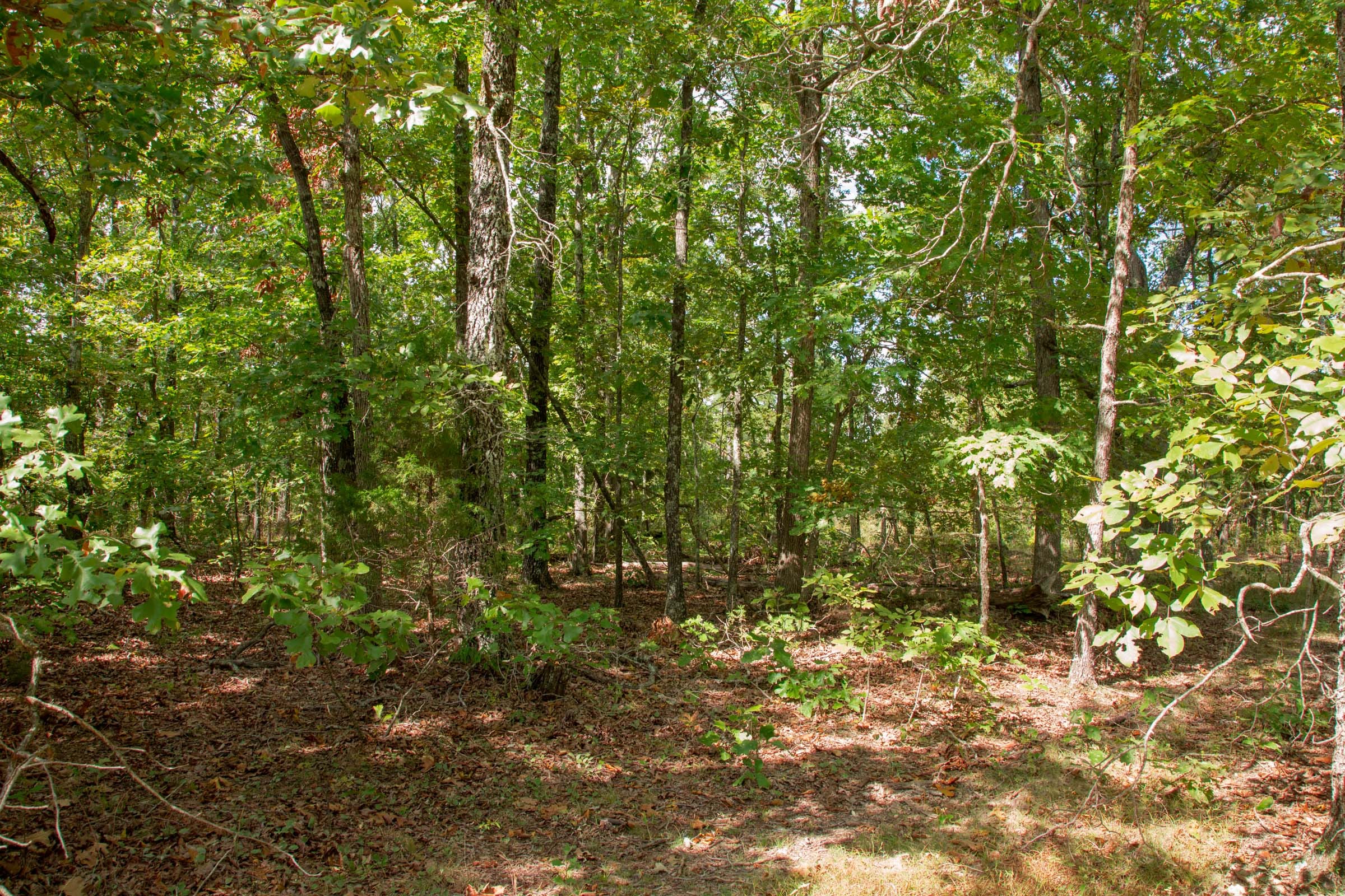 Wagon Wheel Ranch Tract 14 photo 3