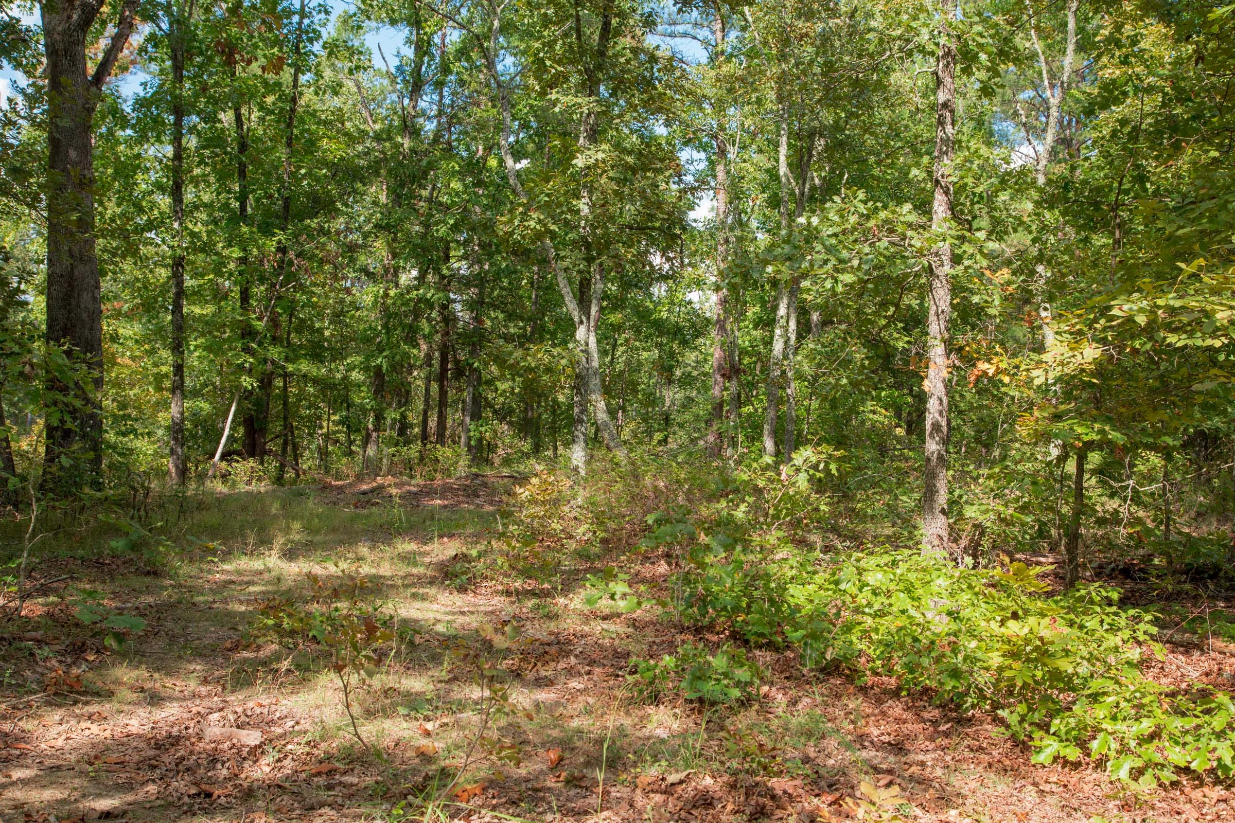 Wagon Wheel Ranch Tract 14 photo 8