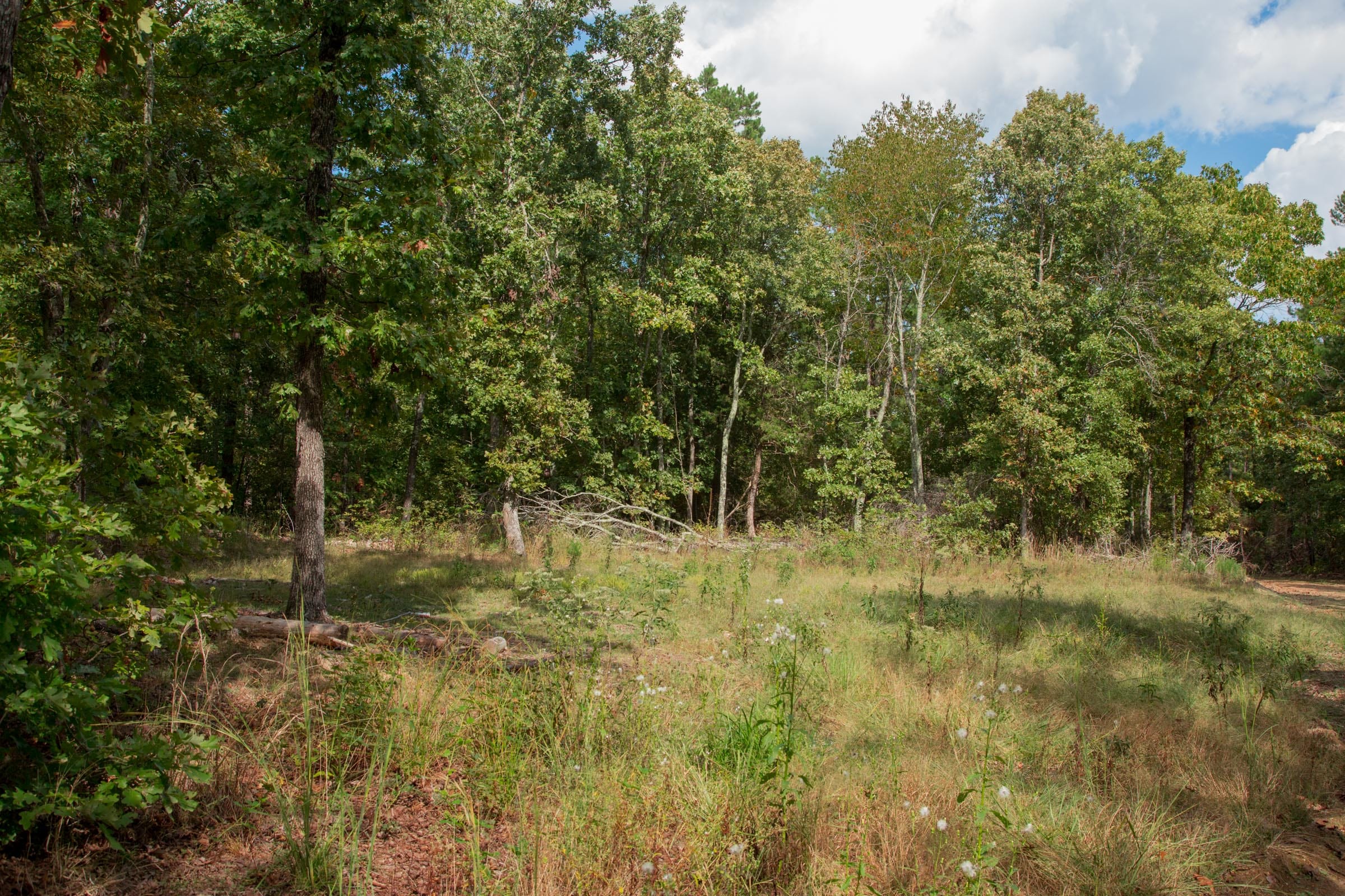 Wagon Wheel Ranch Tract 14 photo 1