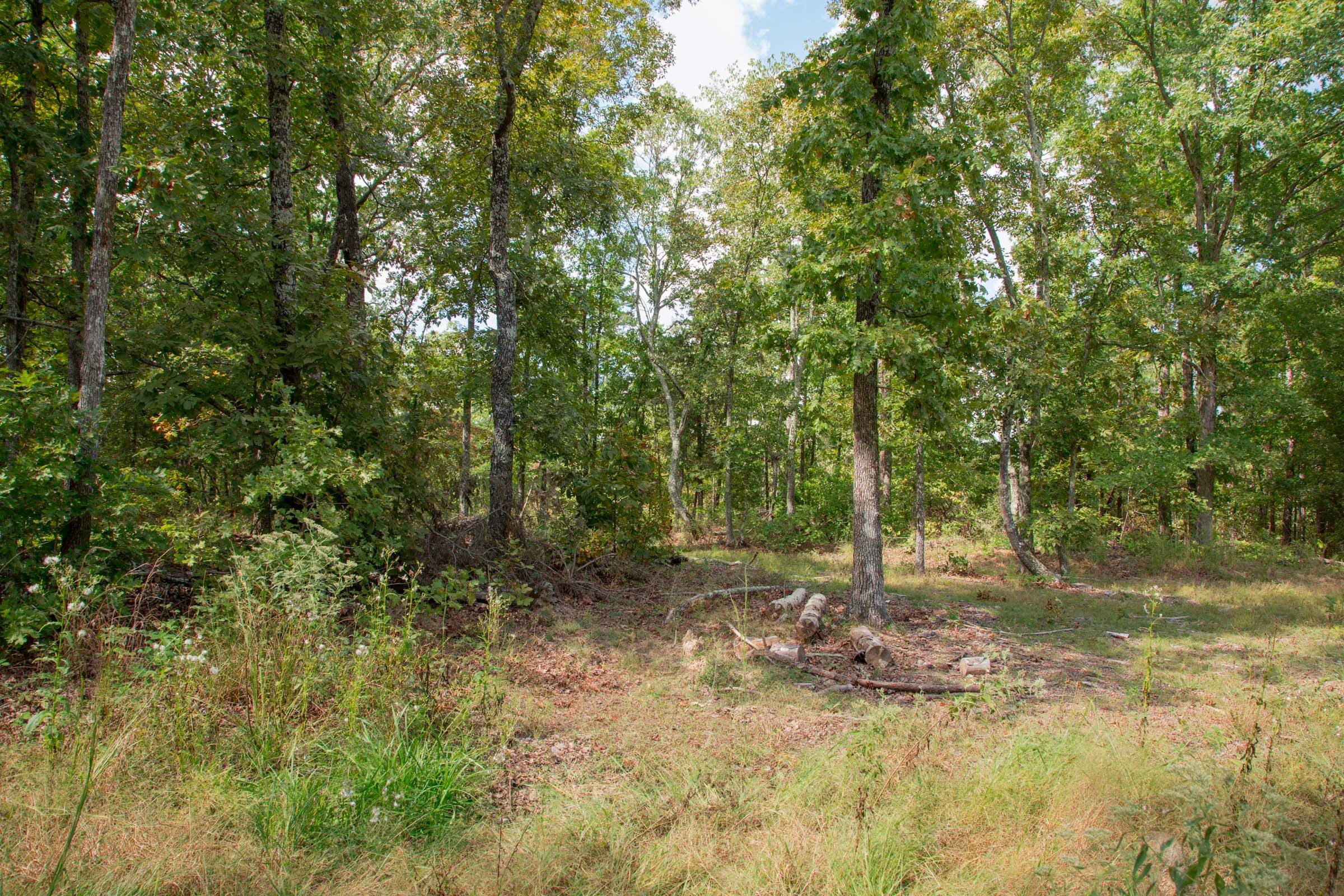 Wagon Wheel Ranch Tract 14 photo 10