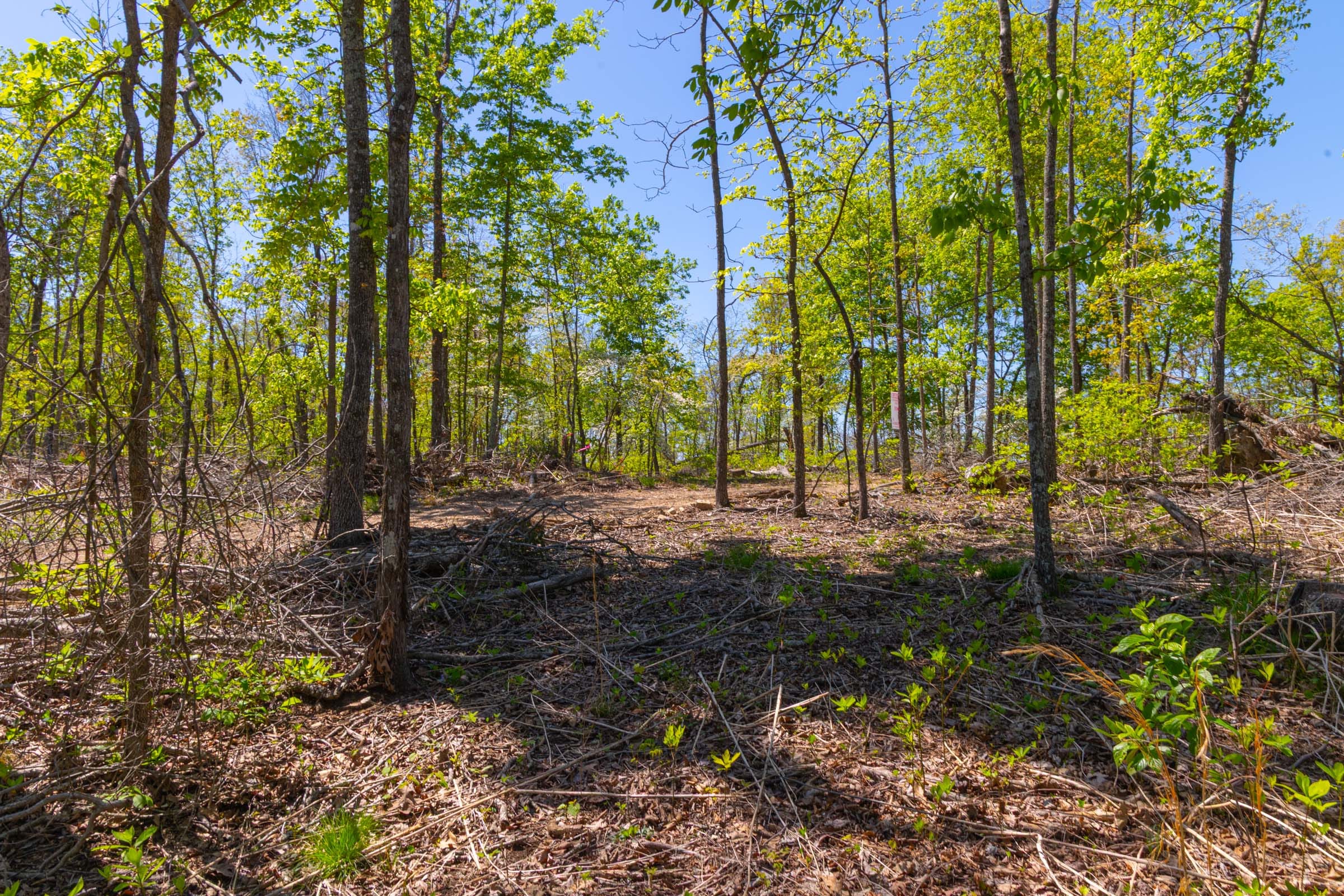 Lazybrook Tract 9 photo 11