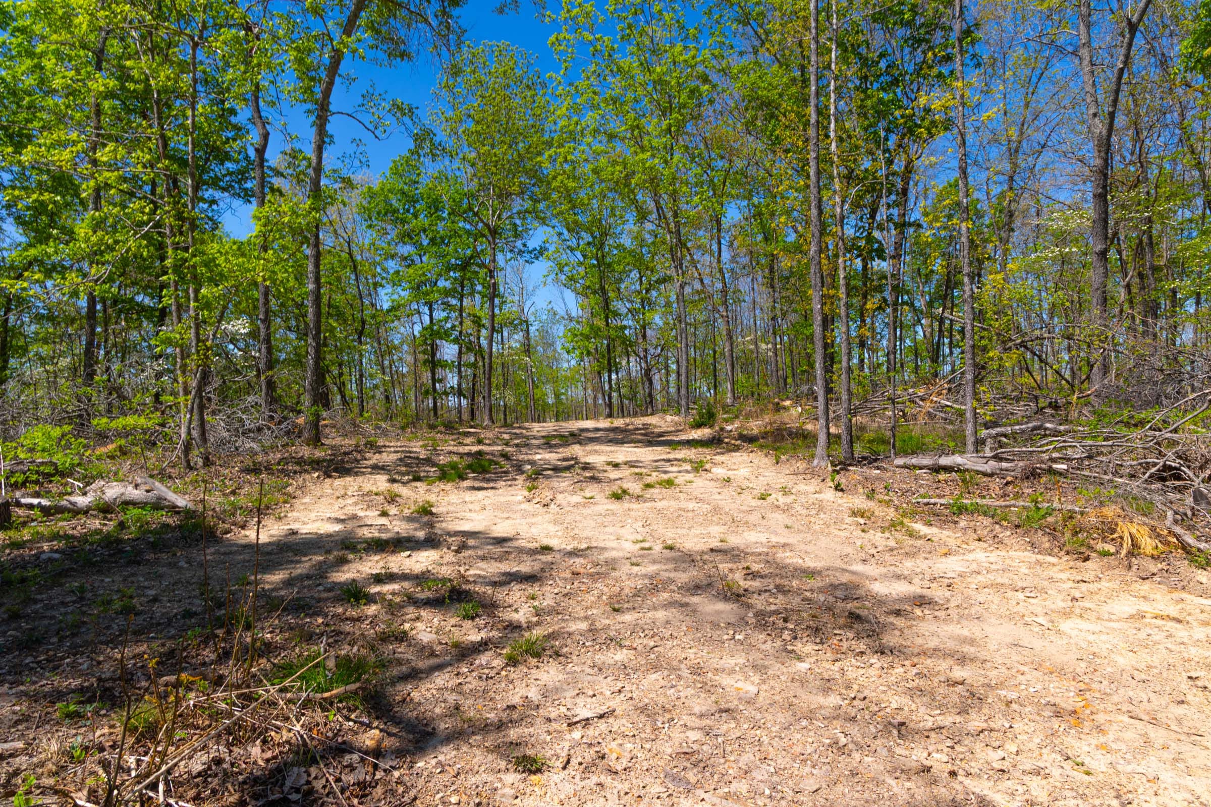 Lazybrook Tract 9 photo 2