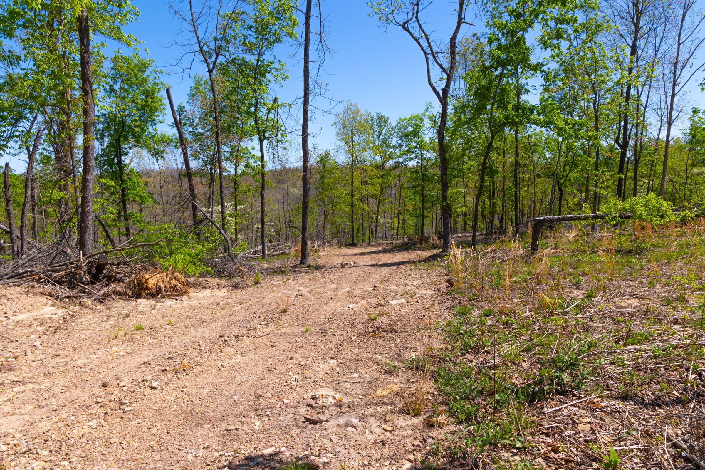 Lazybrook Tract 9 photo 4
