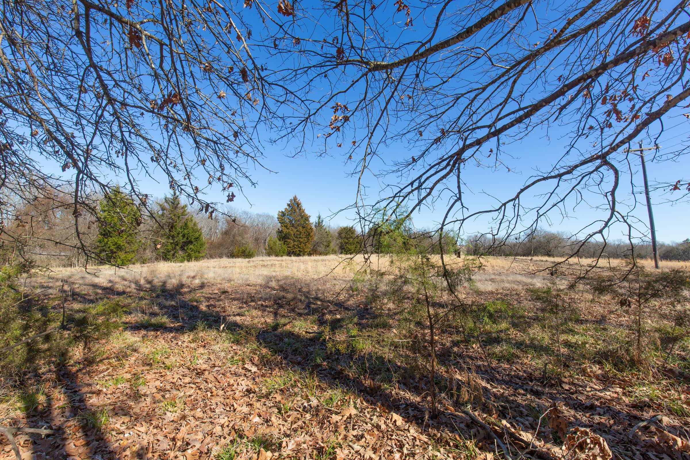 Wishing Star Ranch Tract 1 photo 5